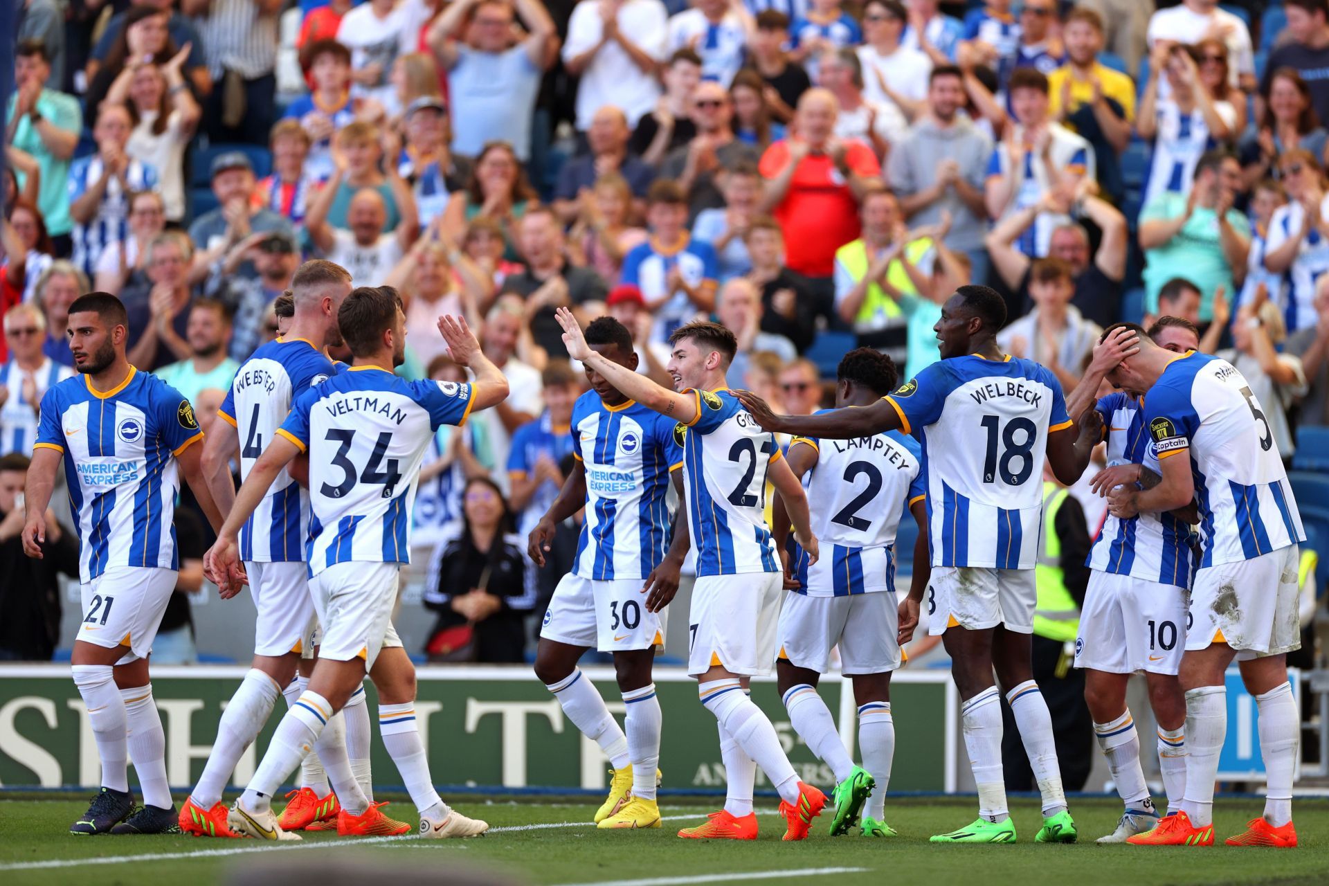 Brighton &amp; Hove Albion v Leicester City - Premier League