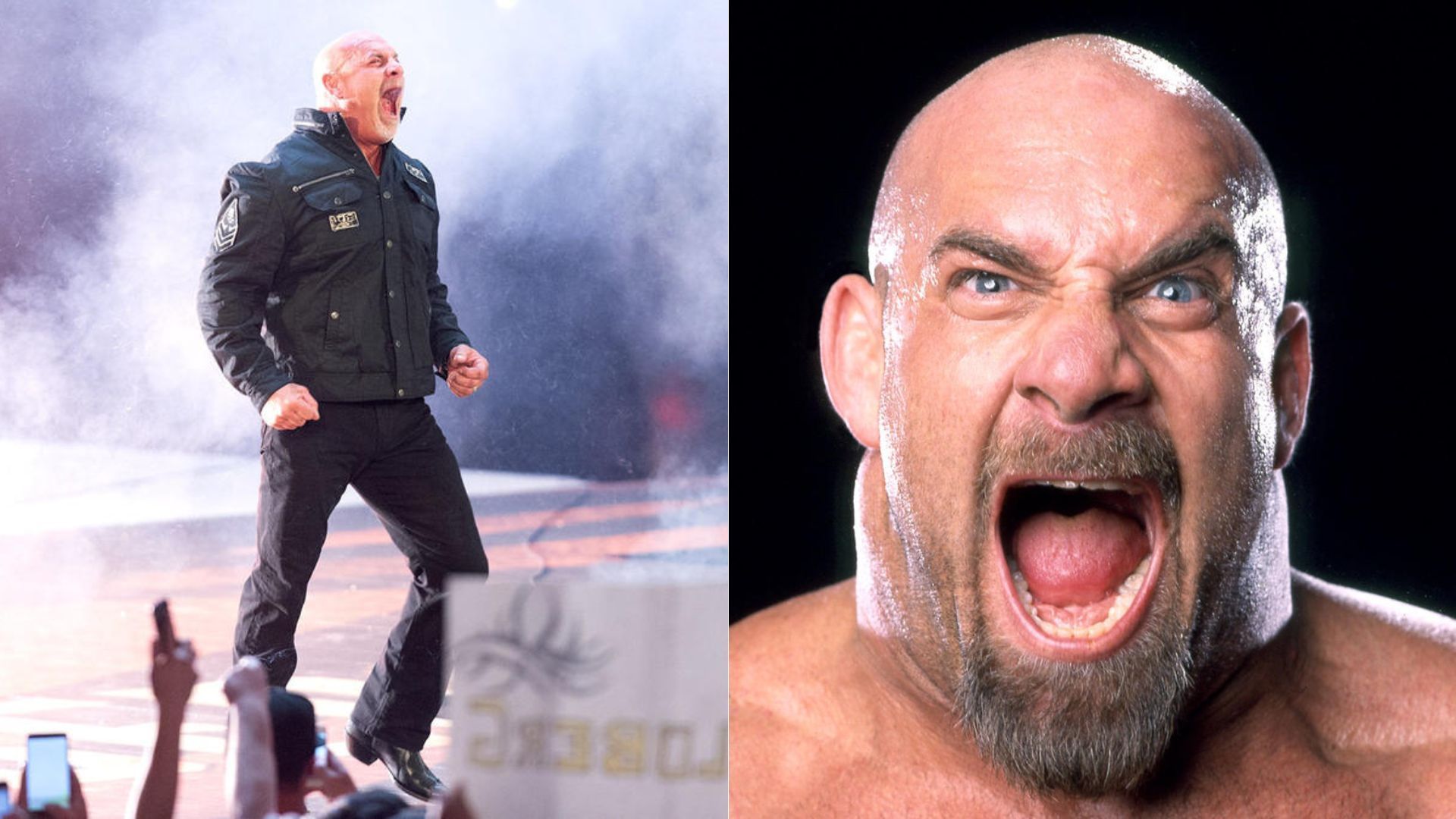 2018 WWE Hall of Famer Bill Goldberg