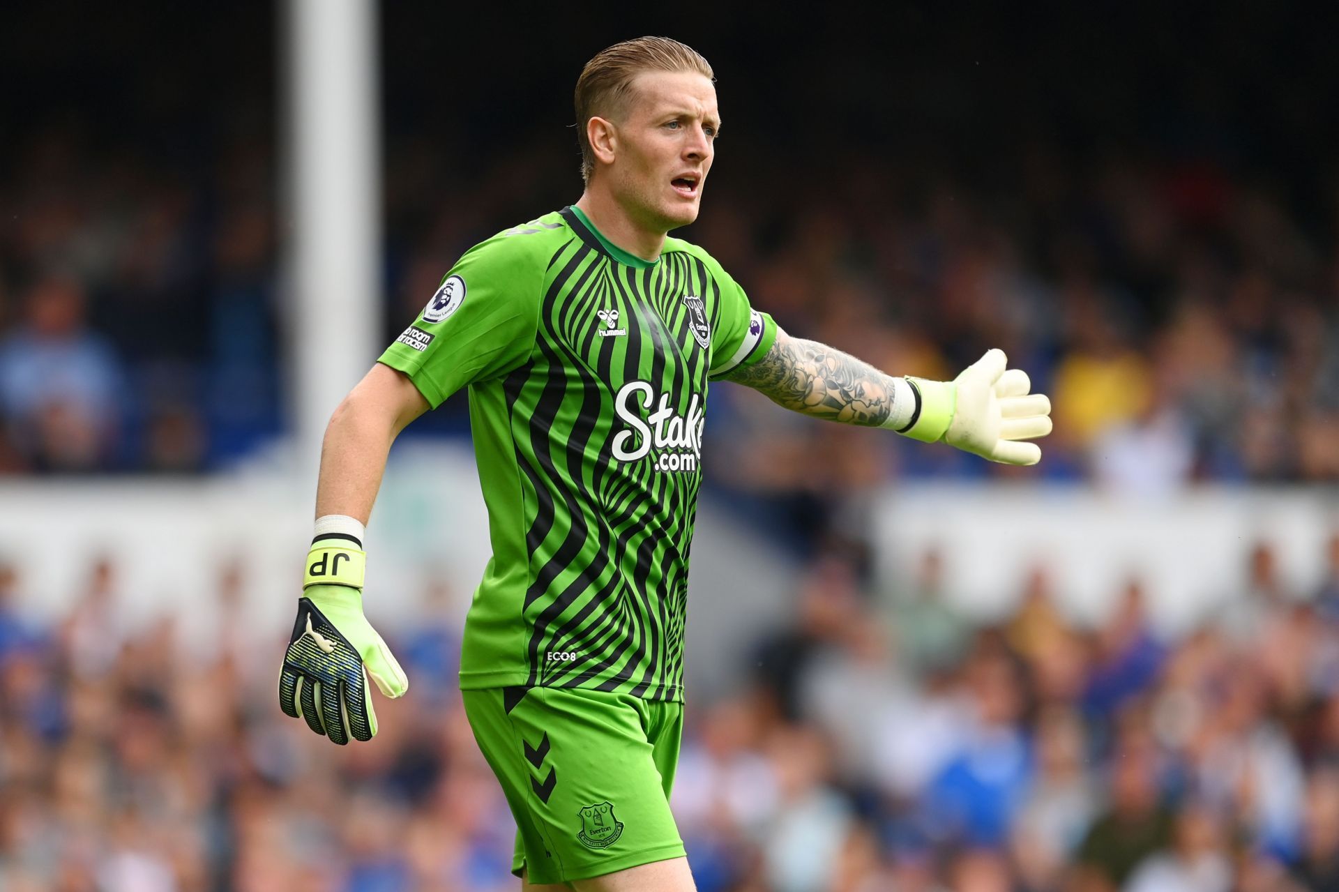 Jordan Pickford has performed admirably for Everton so far.