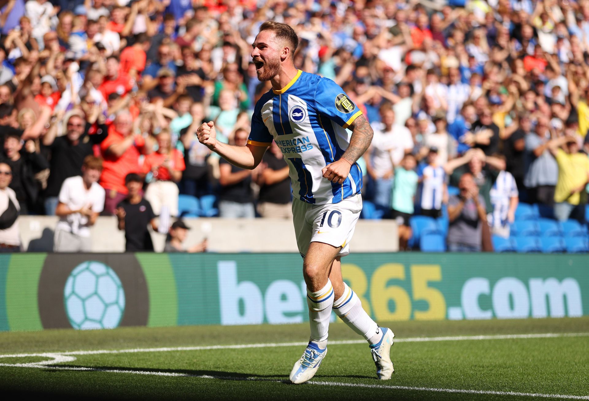 Alexis Mac Allister has caught the eye at the Amex Stadium.