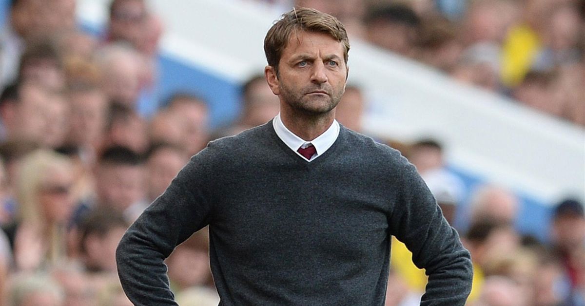 Tim Sherwood makes bold claim over Tottenham style of play