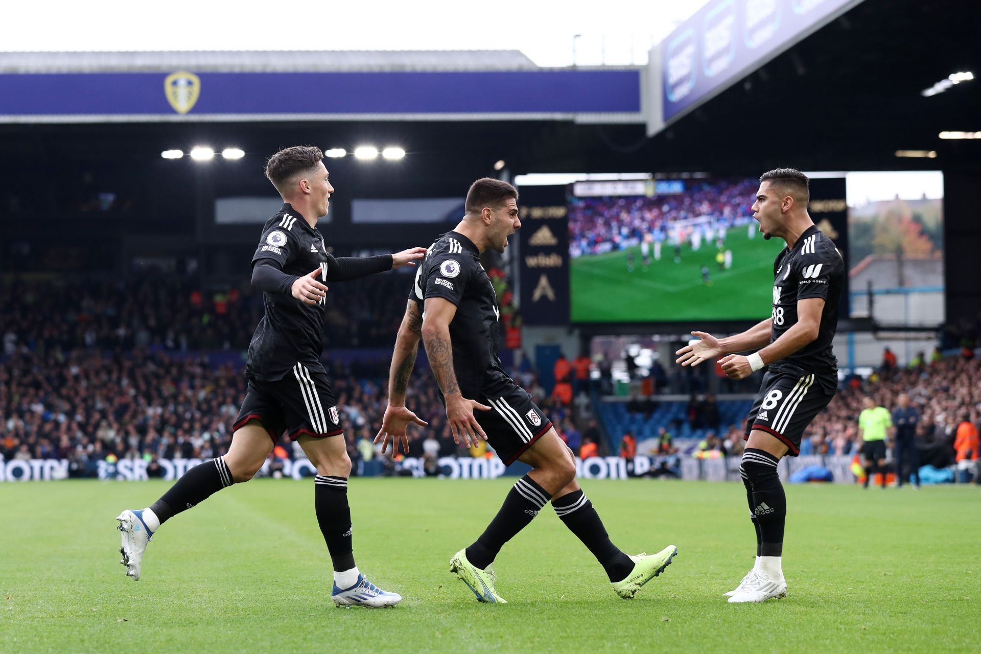 Leeds United v Fulham FC - Premier League