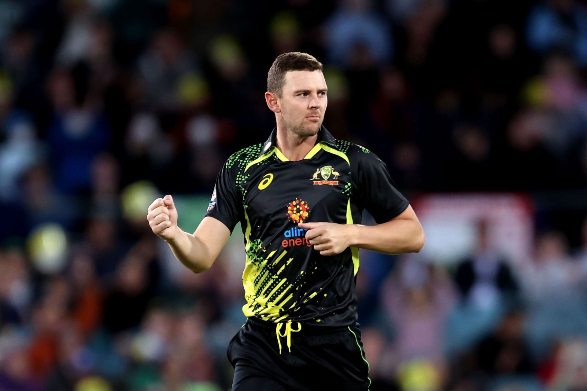 Josh Hazlewood (Credits: Getty)