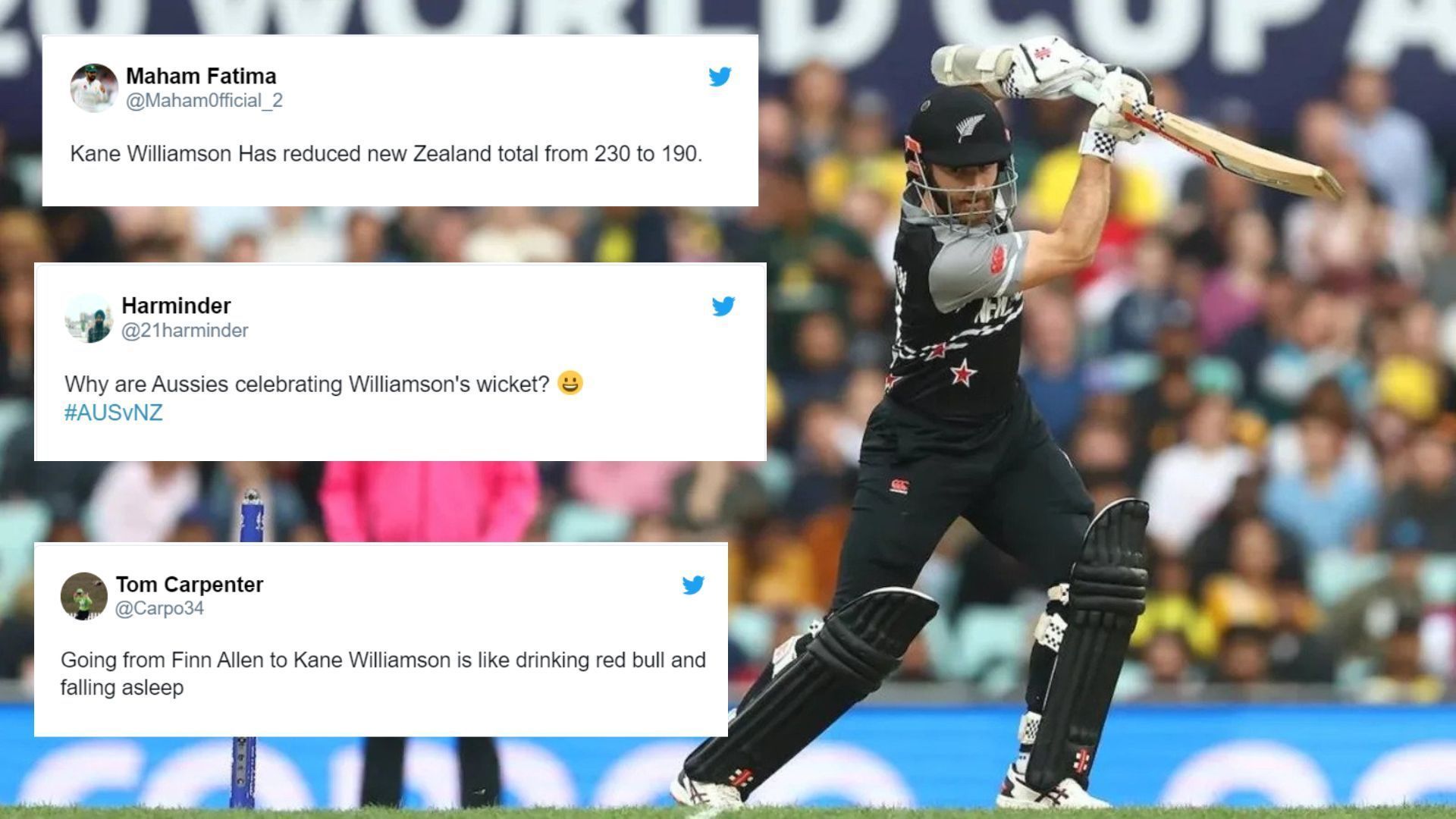 Kane Williamson