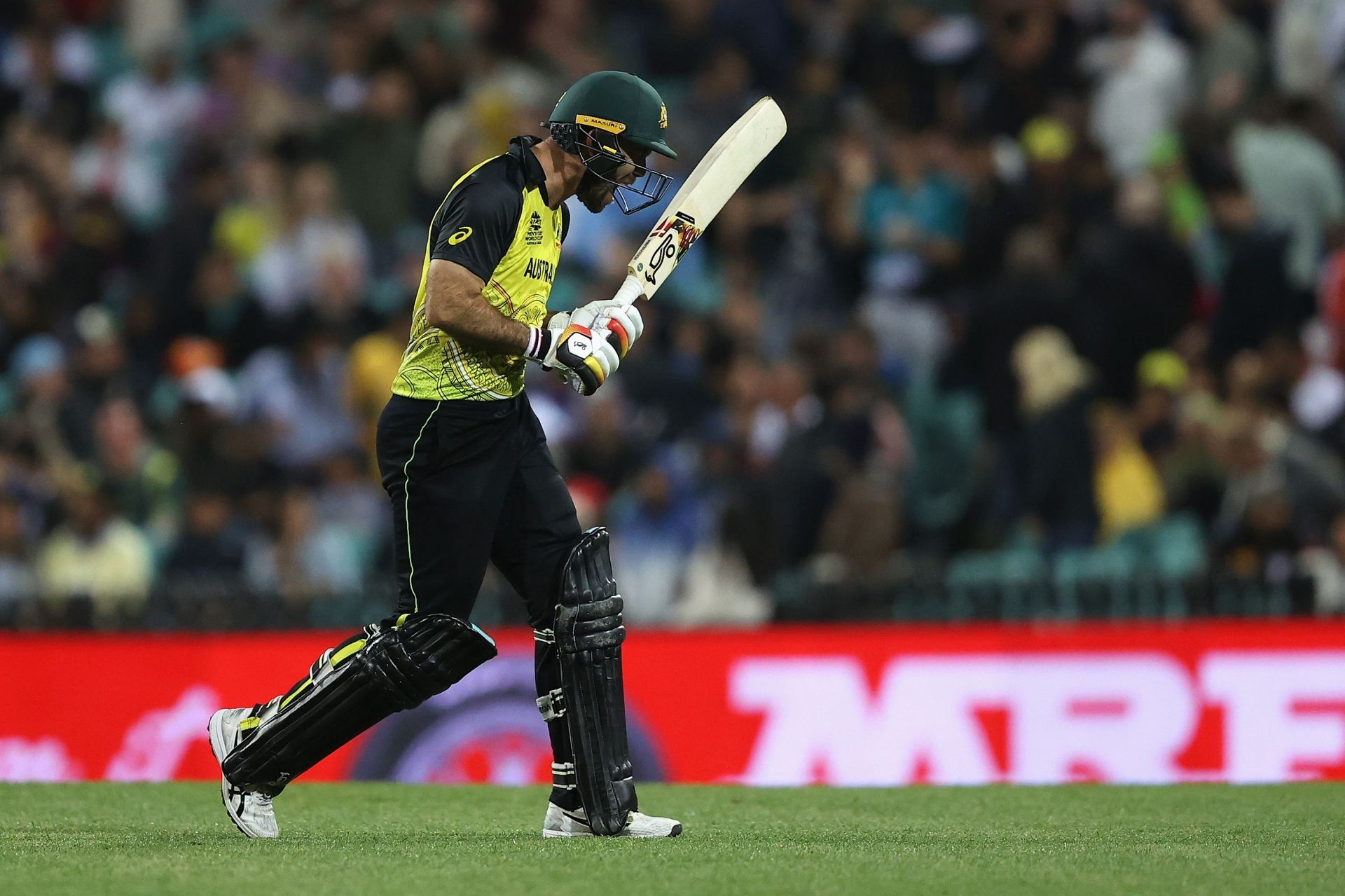 Glenn Maxwell was caught behind off Joshua Little&#039;s bowling against Ireland.