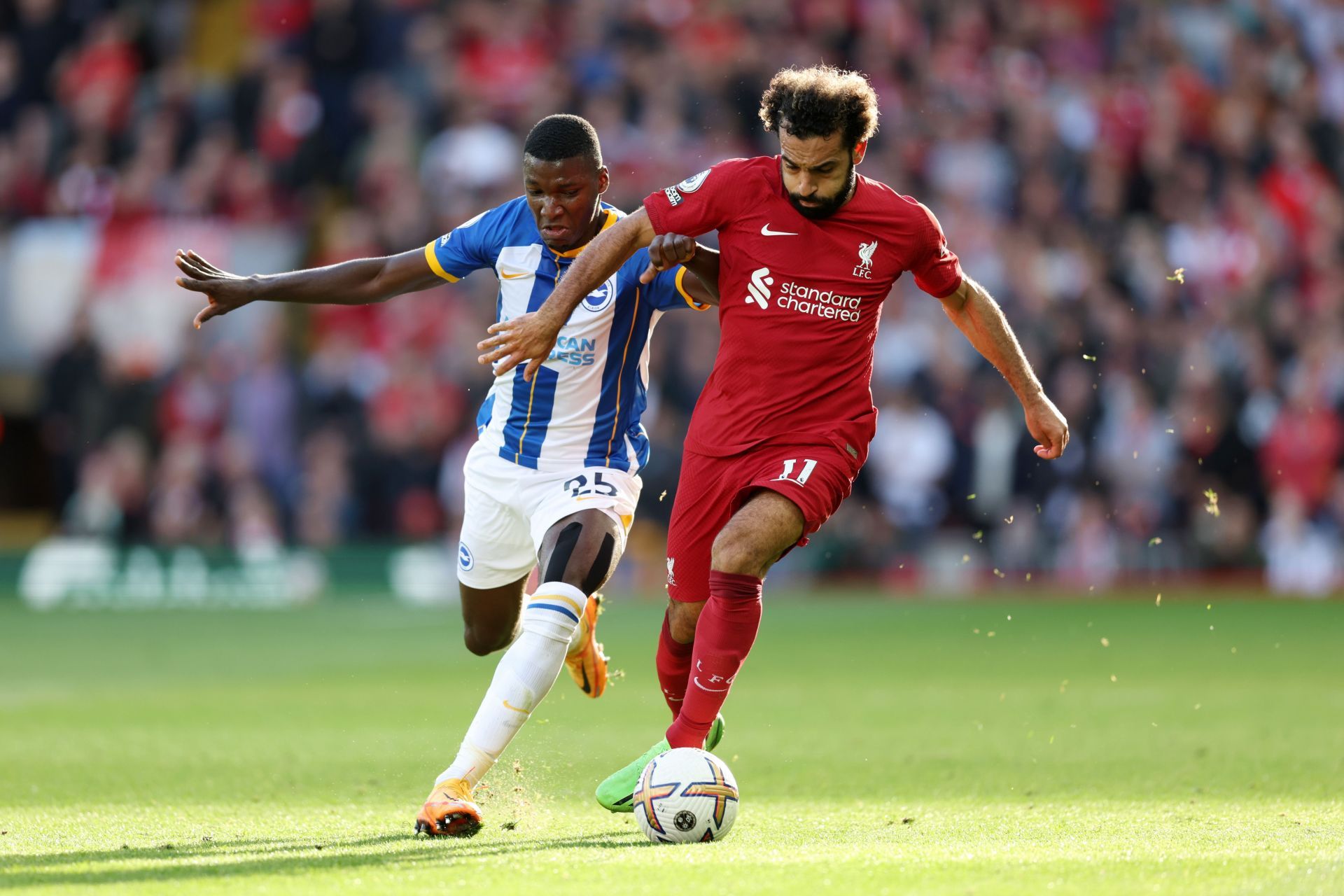 Liverpool FC v Brighton &amp; Hove Albion - Premier League