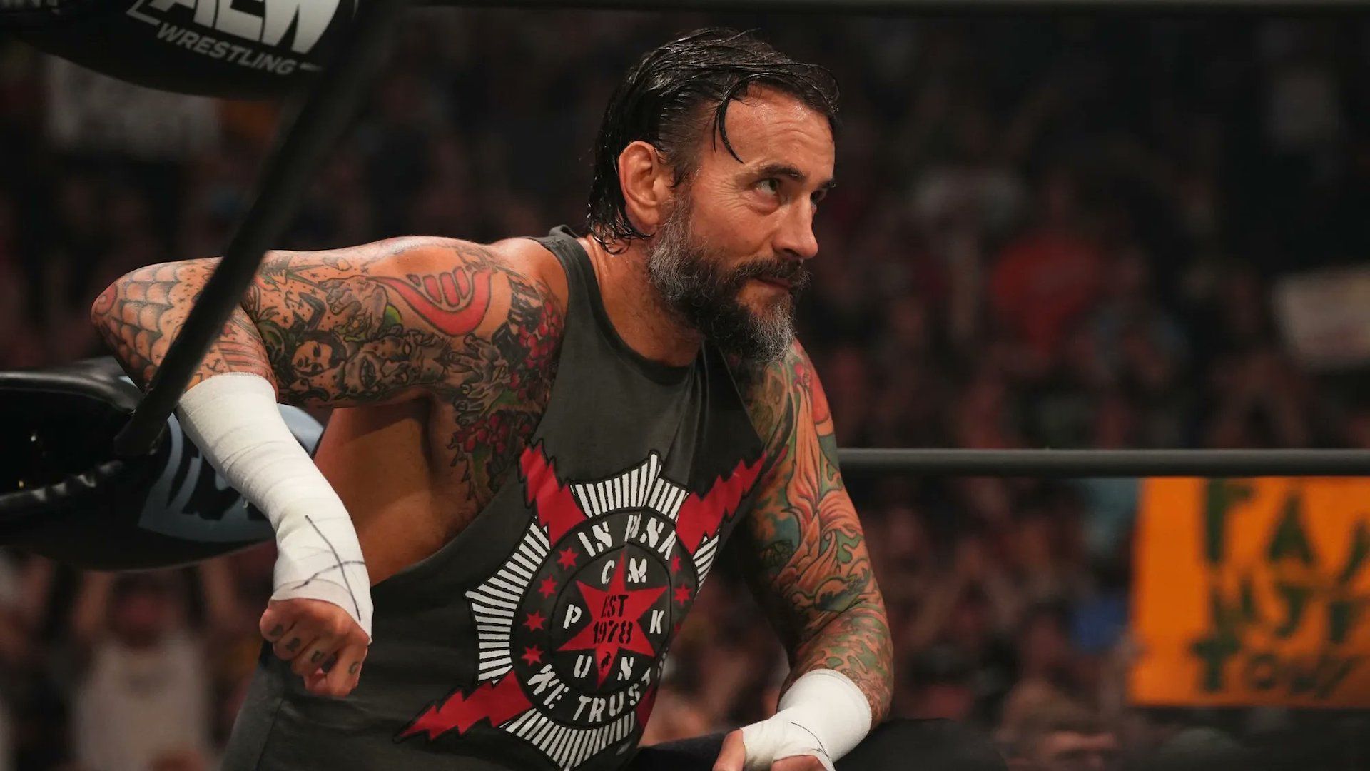 Former WWE Superstar and current AEW star CM Punk