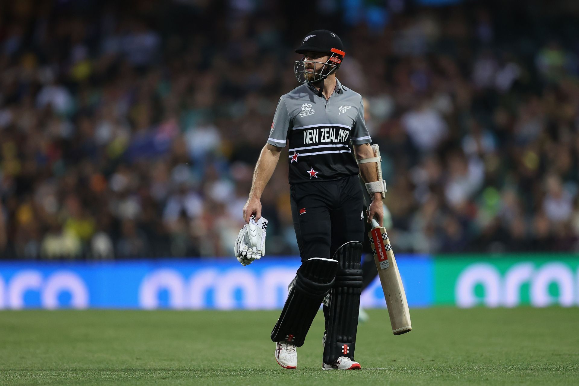 Australia v New Zealand - ICC Men