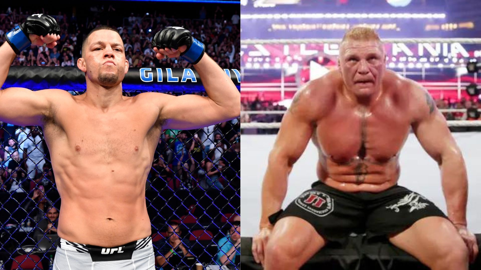 Konnan has compared Nate Diaz and Brock Lesnar and pointed out a big similarity