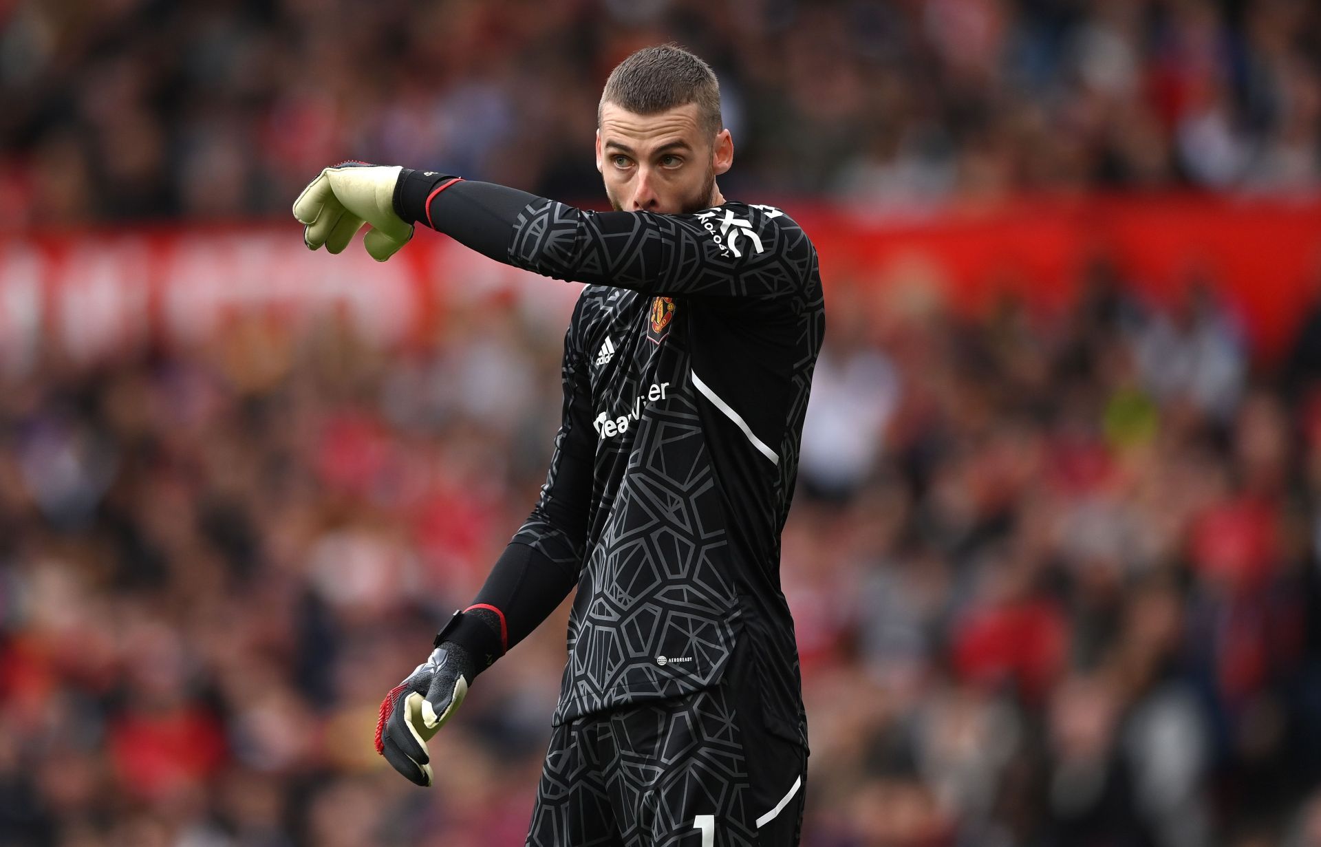 David de Gea has been an omnipresent figure between the sticks at Old Trafford this season.