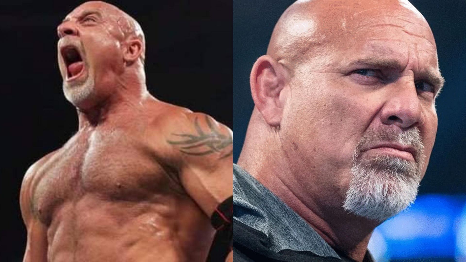 Goldberg has always been a divisive character in WWE