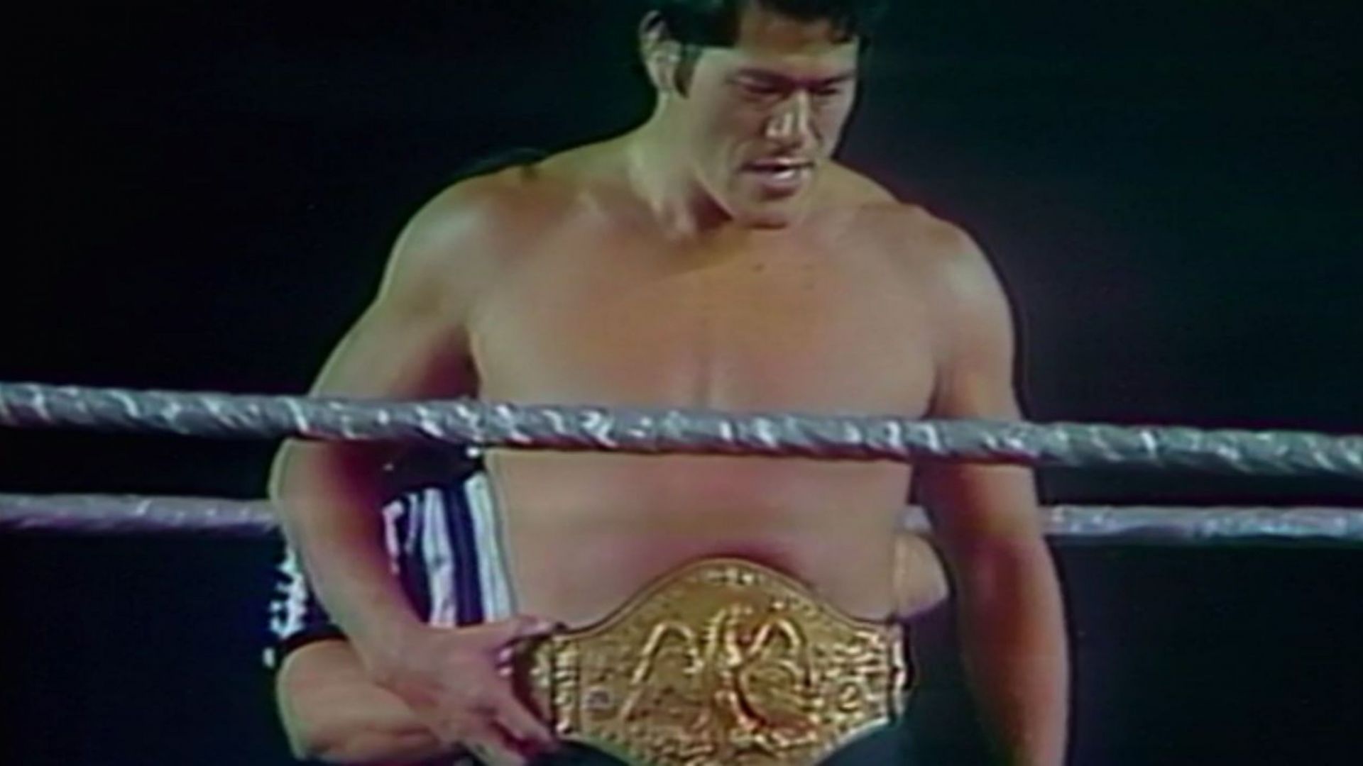 Antonio Inoki held the WWF World Martial Arts Heavyweight Championship