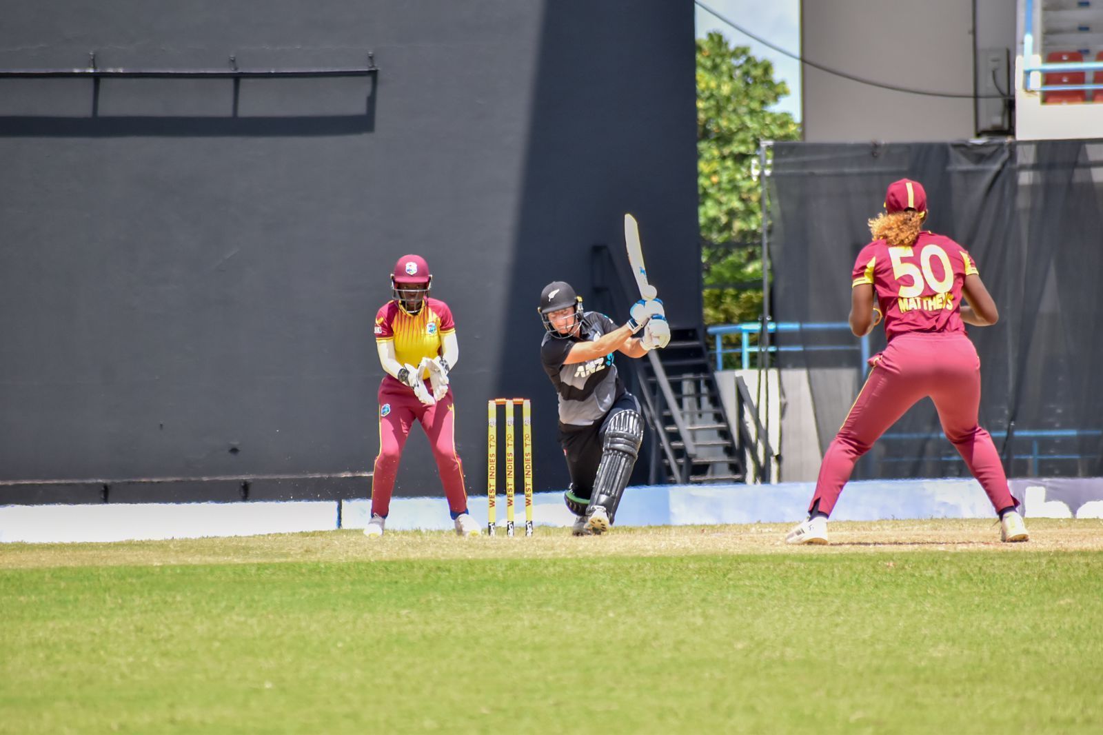 न्यूजीलैंड की तरफ से शानदार प्रदर्शन देखने को मिला (PIC : WHITE FERNS)