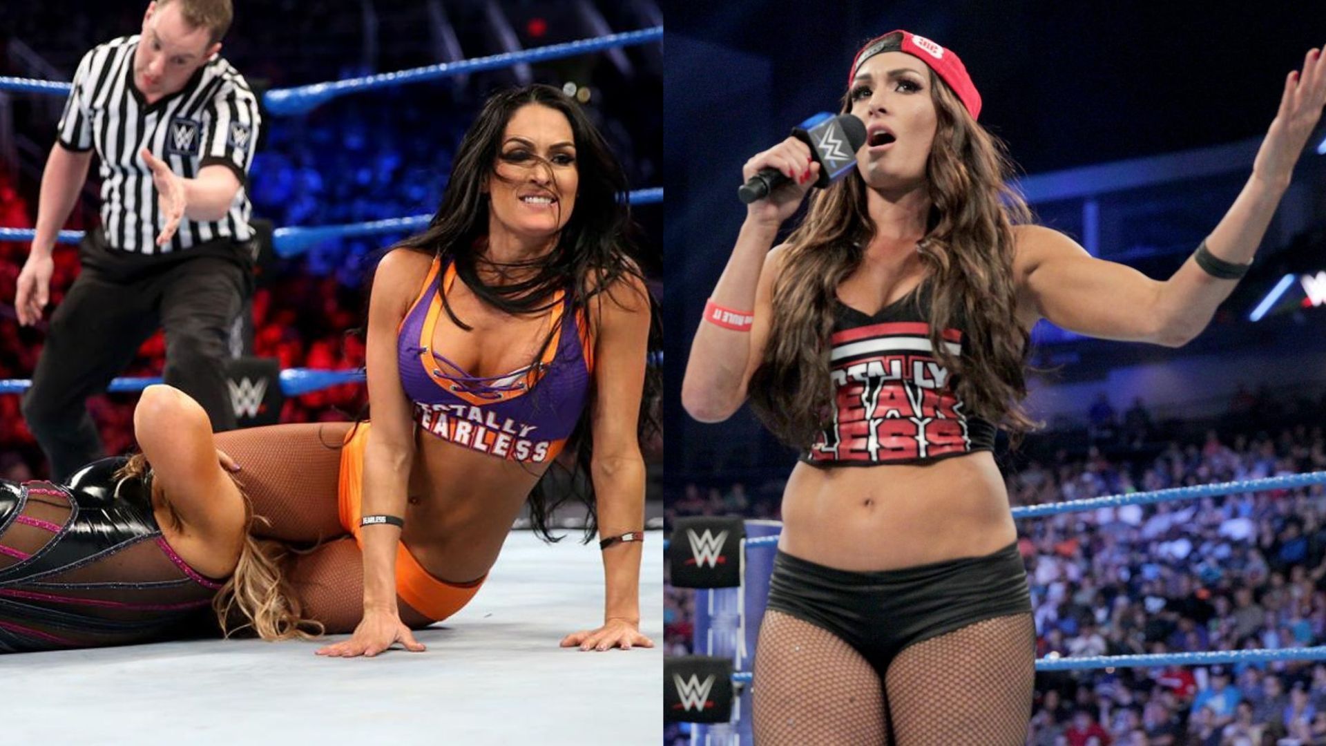 Nikki Bella is a WWE Hall of Famer and has shared the ring with notable superstars