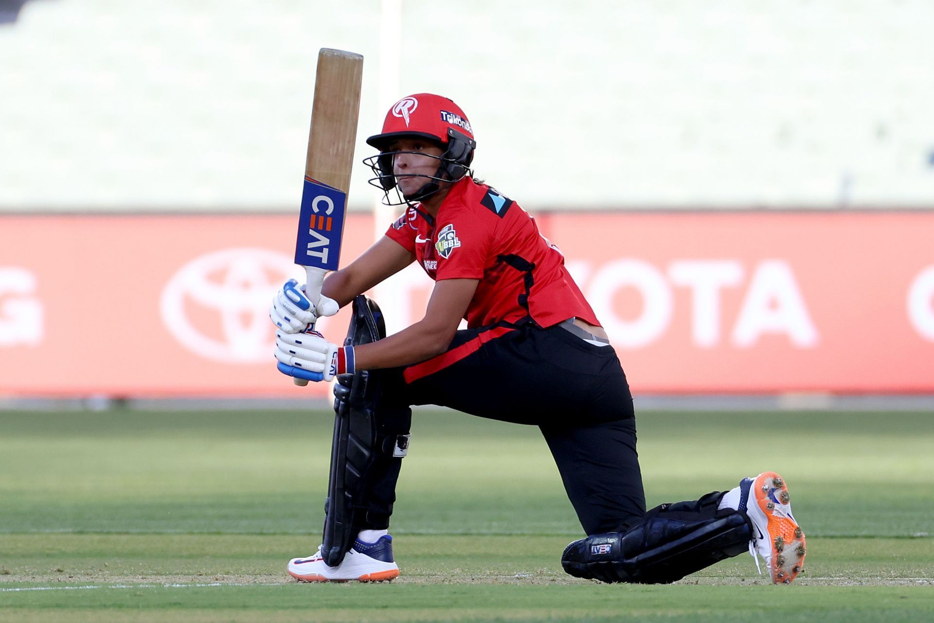 WBBL The Challenger - Renegades v Strikers