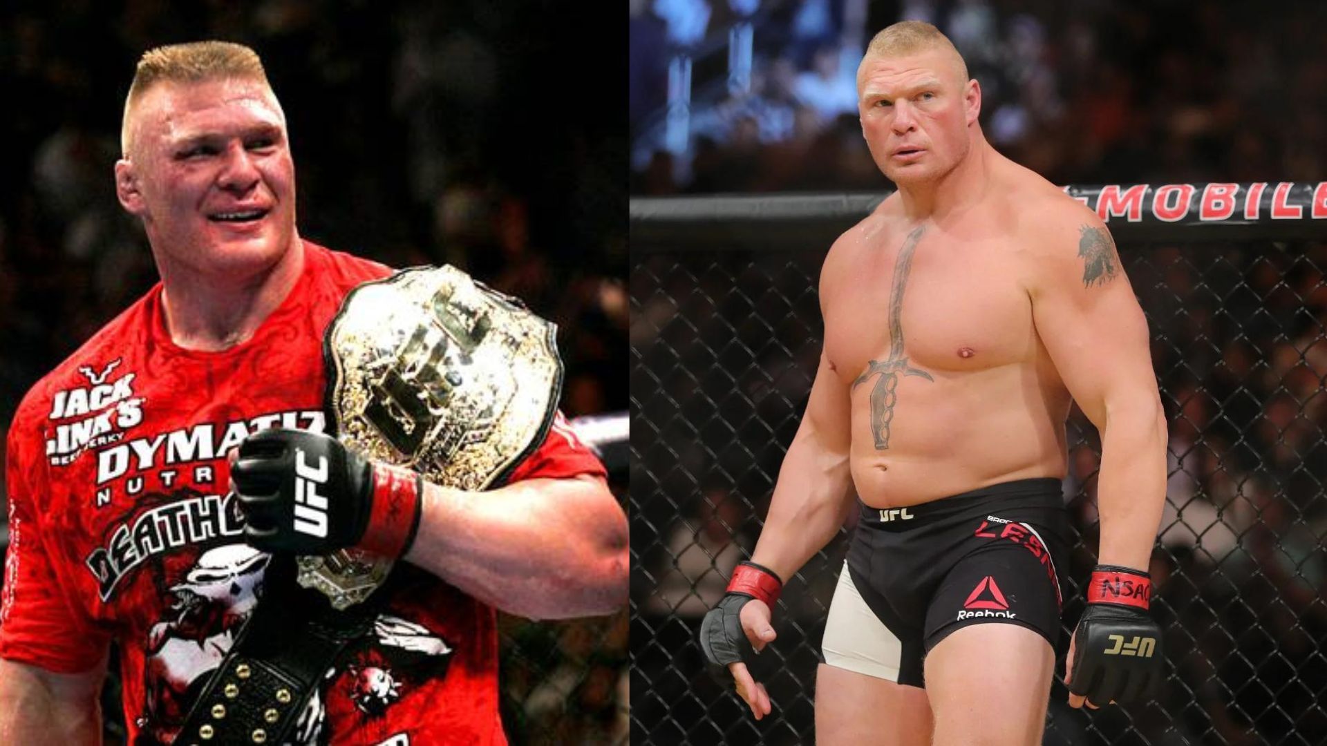 Former UFC Heavyweight Champion Brock Lesnar