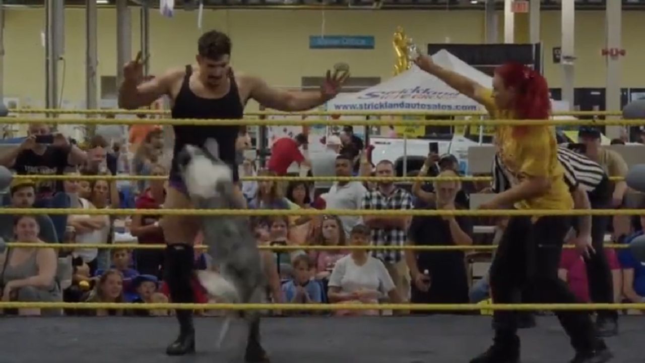 An actual pro-wrestling match between a wrestler and a dog