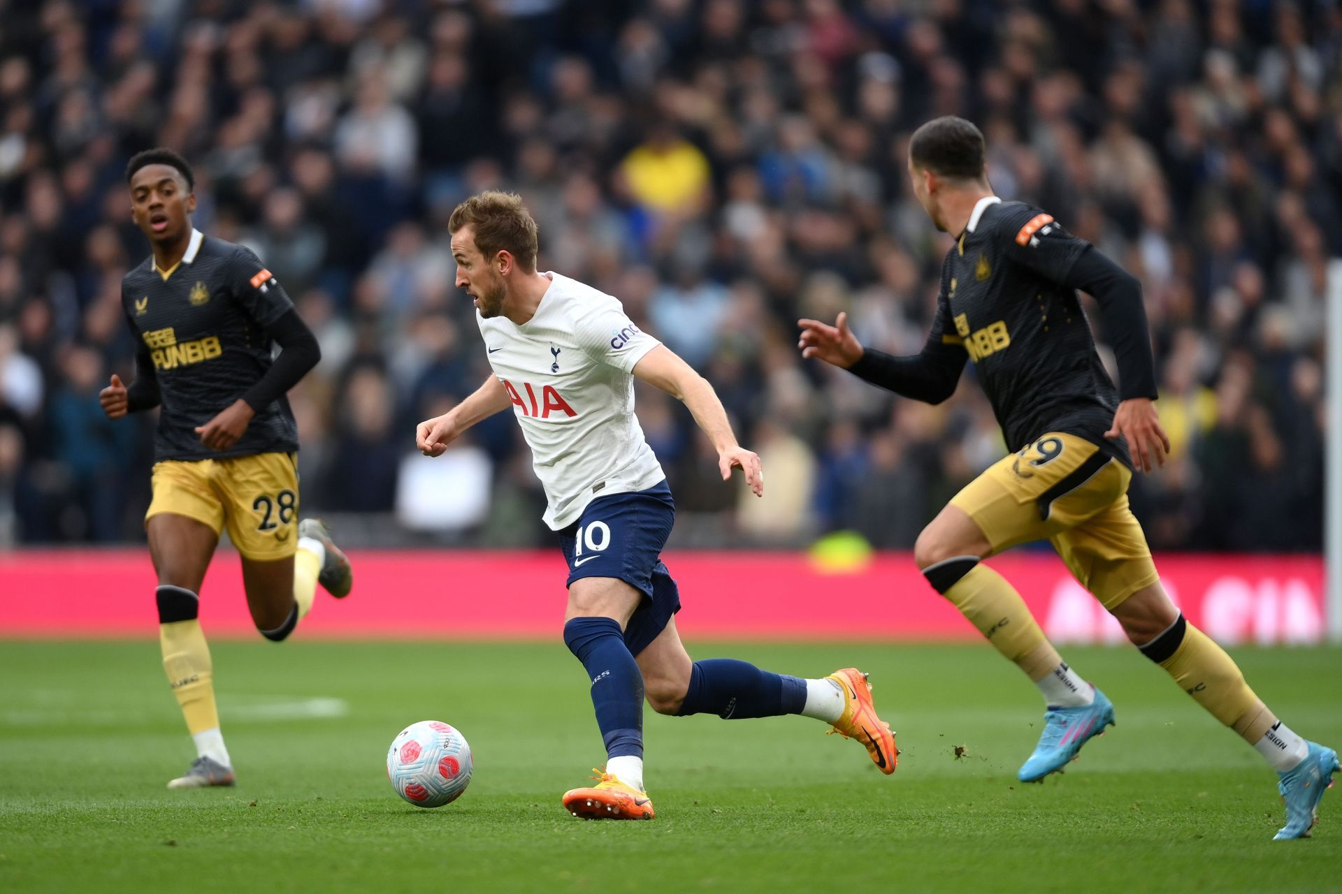 Tottenham Hotspur v Newcastle United - Premier League