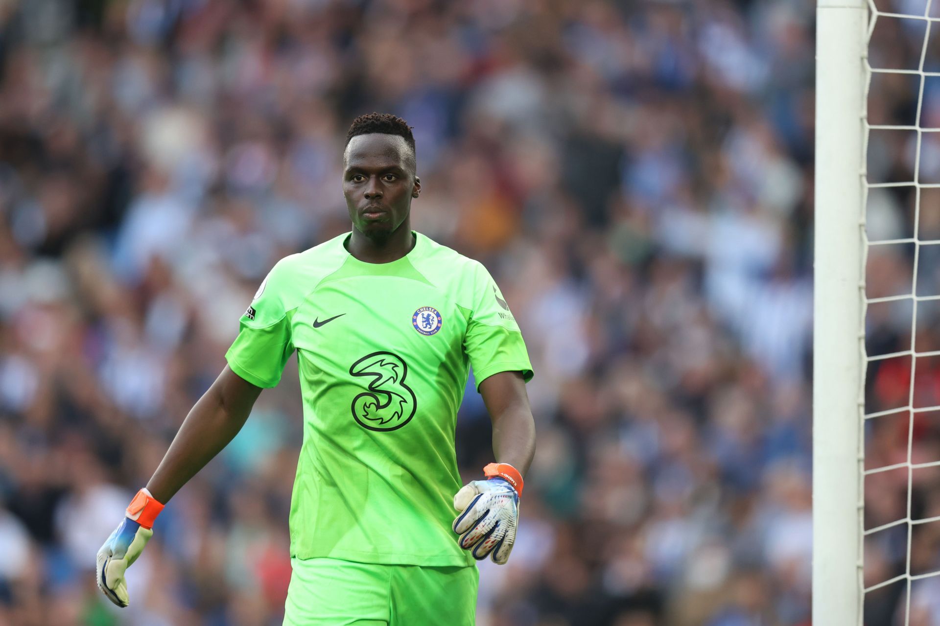 Edouard Mendy in action v Brighton in the Premier League