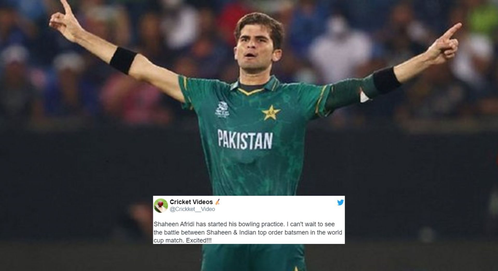 Shaheen Afridi