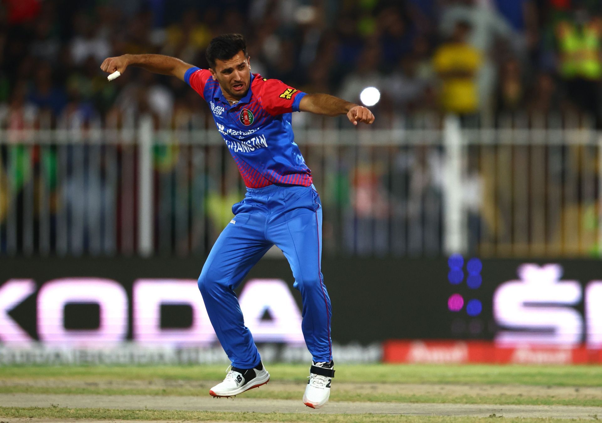 Fazalhaq Farooqi celebrates after dismissing Babar Azam during the Asia Cup. Pic: Getty Images