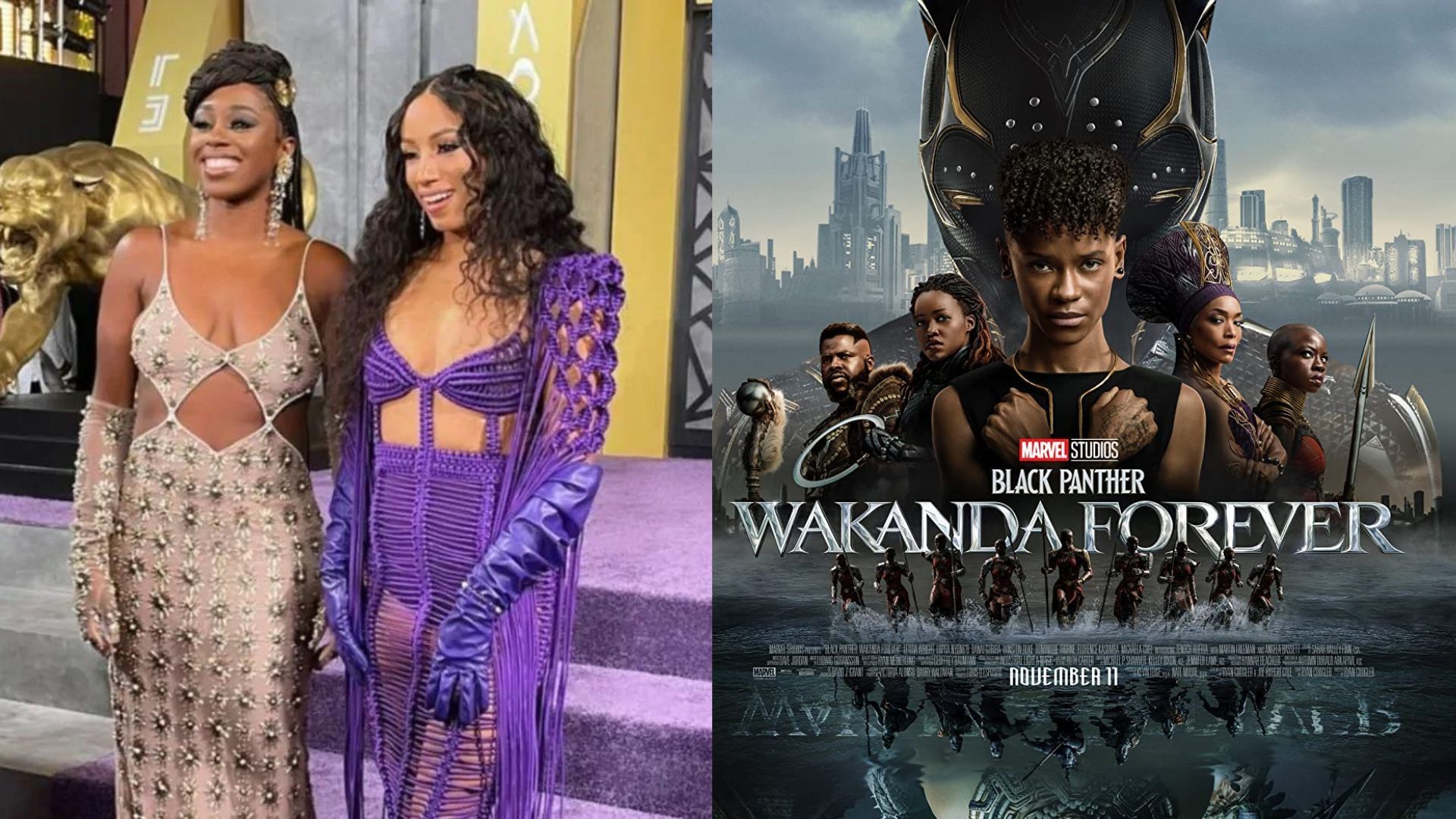 Multiple WWE stars were present for the premiere of Black Panther 2