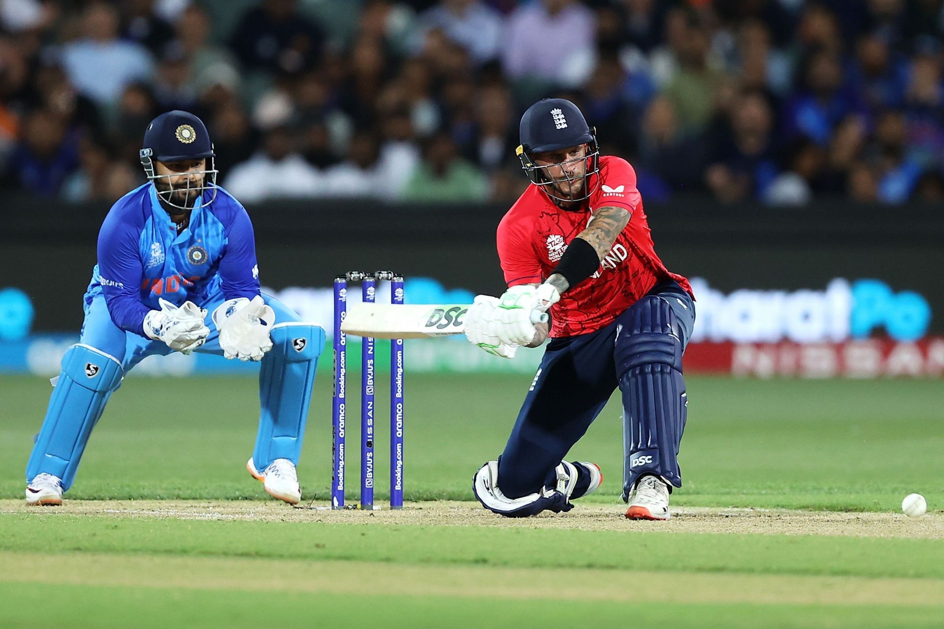 Alex Hales carted the Indian bowlers all around the park.
