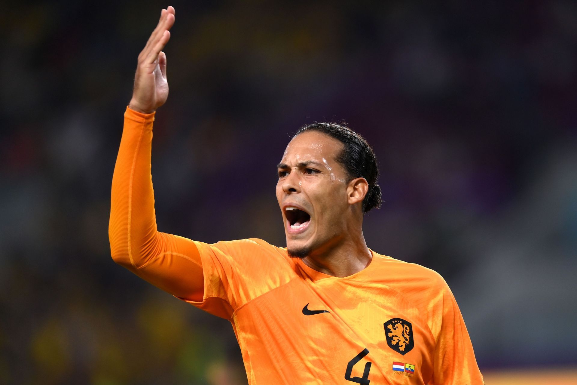 Netherlands v Ecuador: Group A - FIFA World Cup Qatar 2022