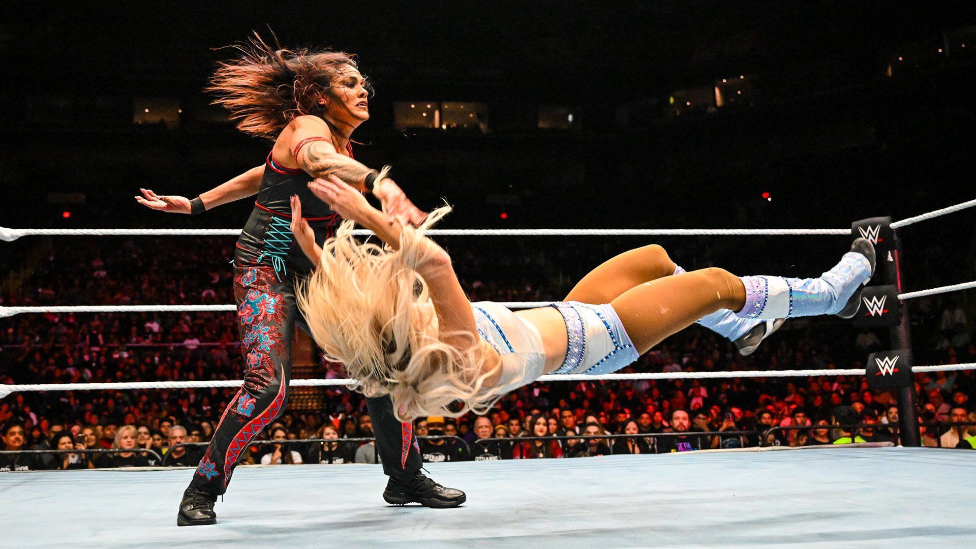 Tamina in action