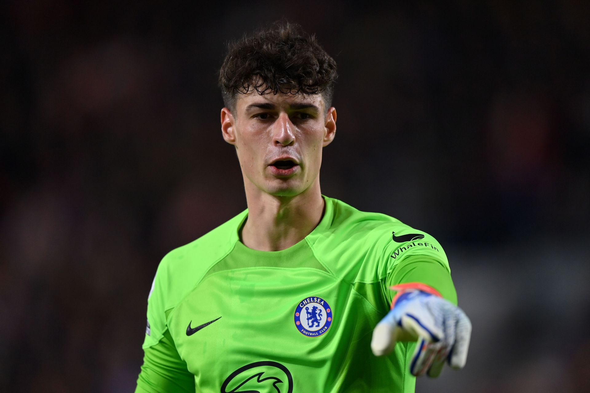 Kepa has kept two clean sheets in the UEFA Champions League this season