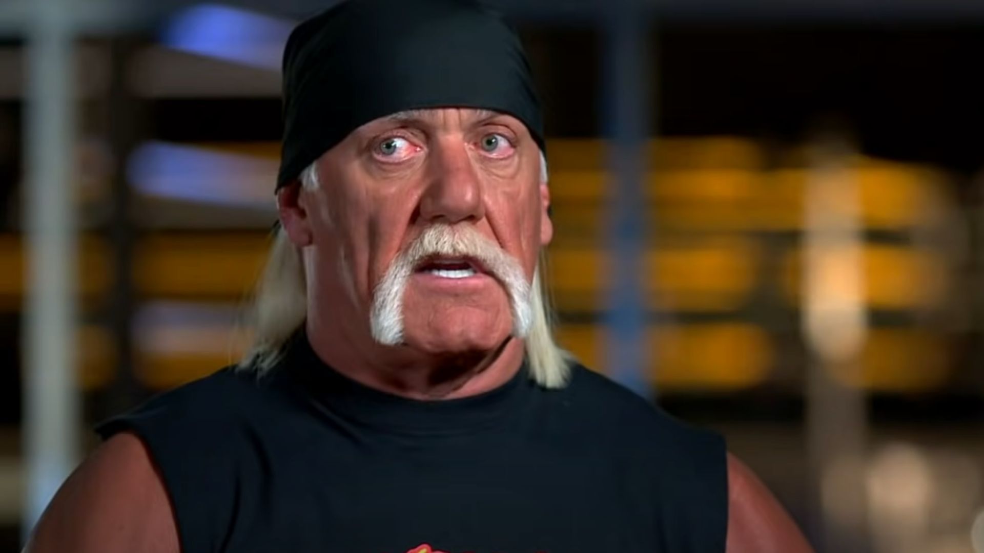 Two-time WWE Hall of Famer Hulk Hogan