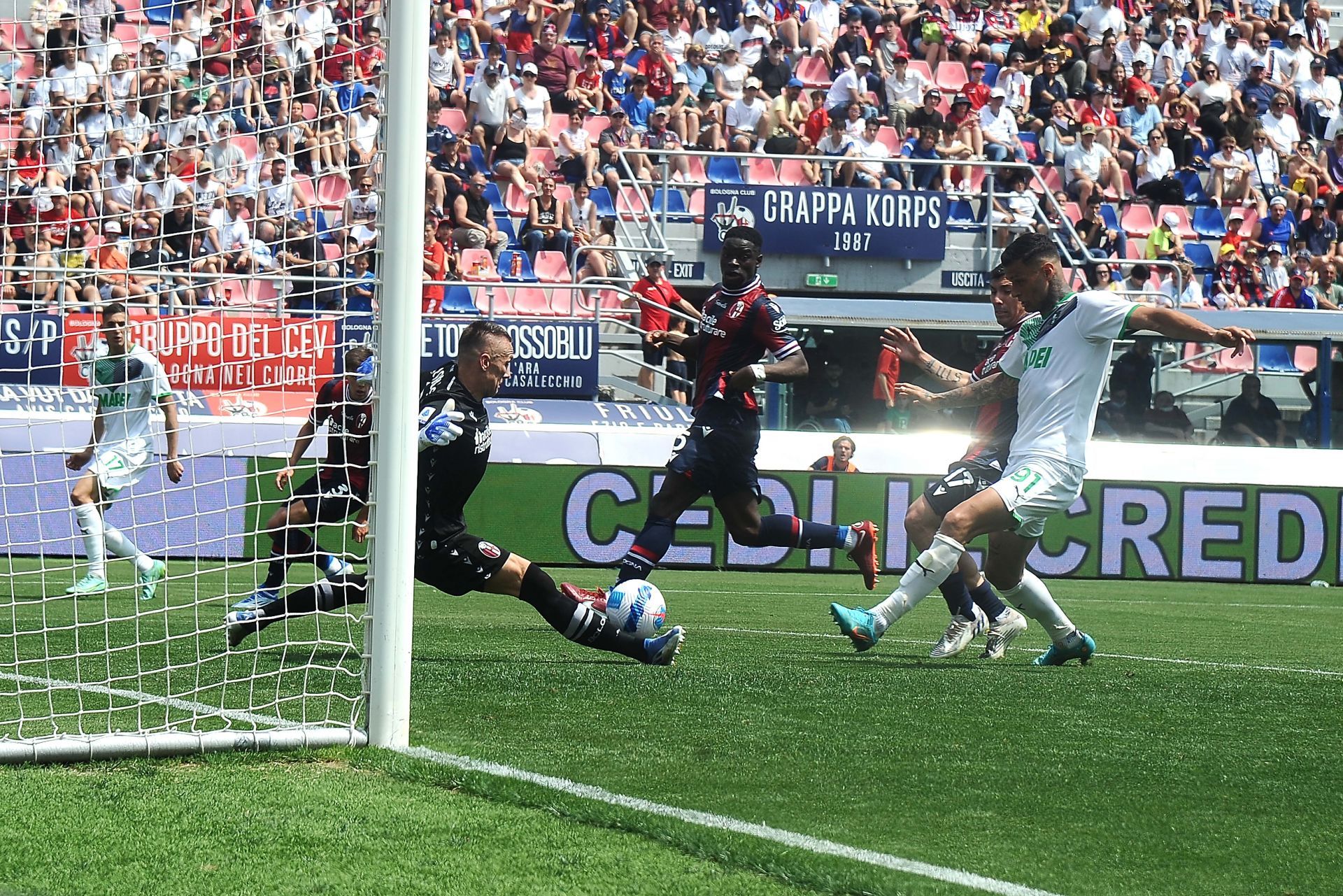 Bologna FC v US Sassuolo - Serie A