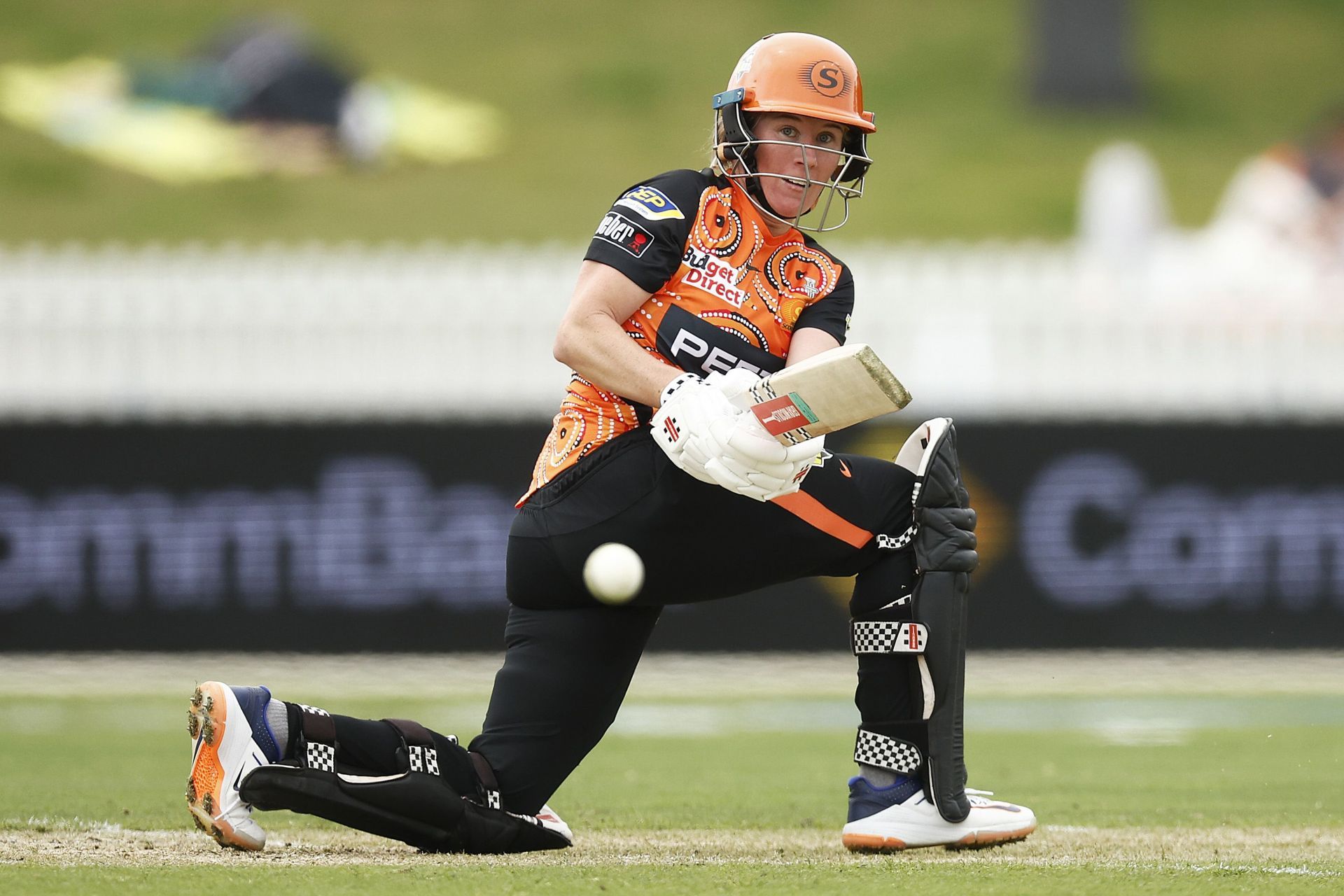 WBBL - Melbourne Renegades v Perth Scorchers