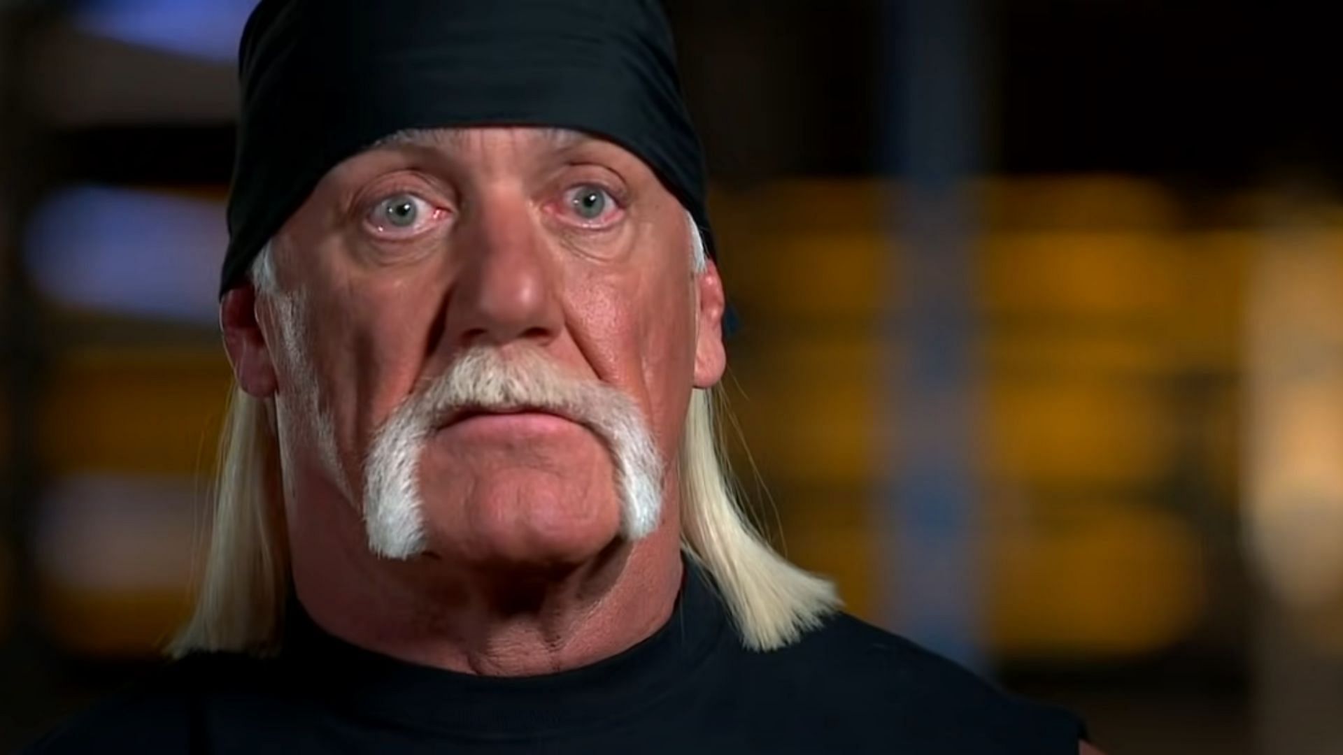 Hulk Hogan was attacked by a spectator in the 1980s