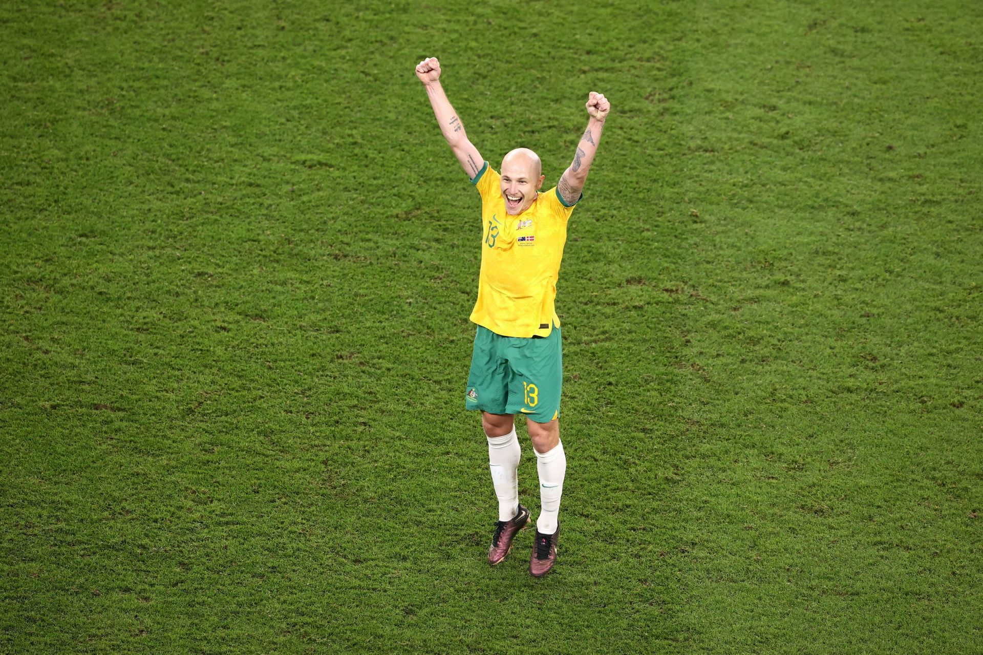 Aaron Mooy celebrates Australia&#039;s 1-0 win against Denmark.