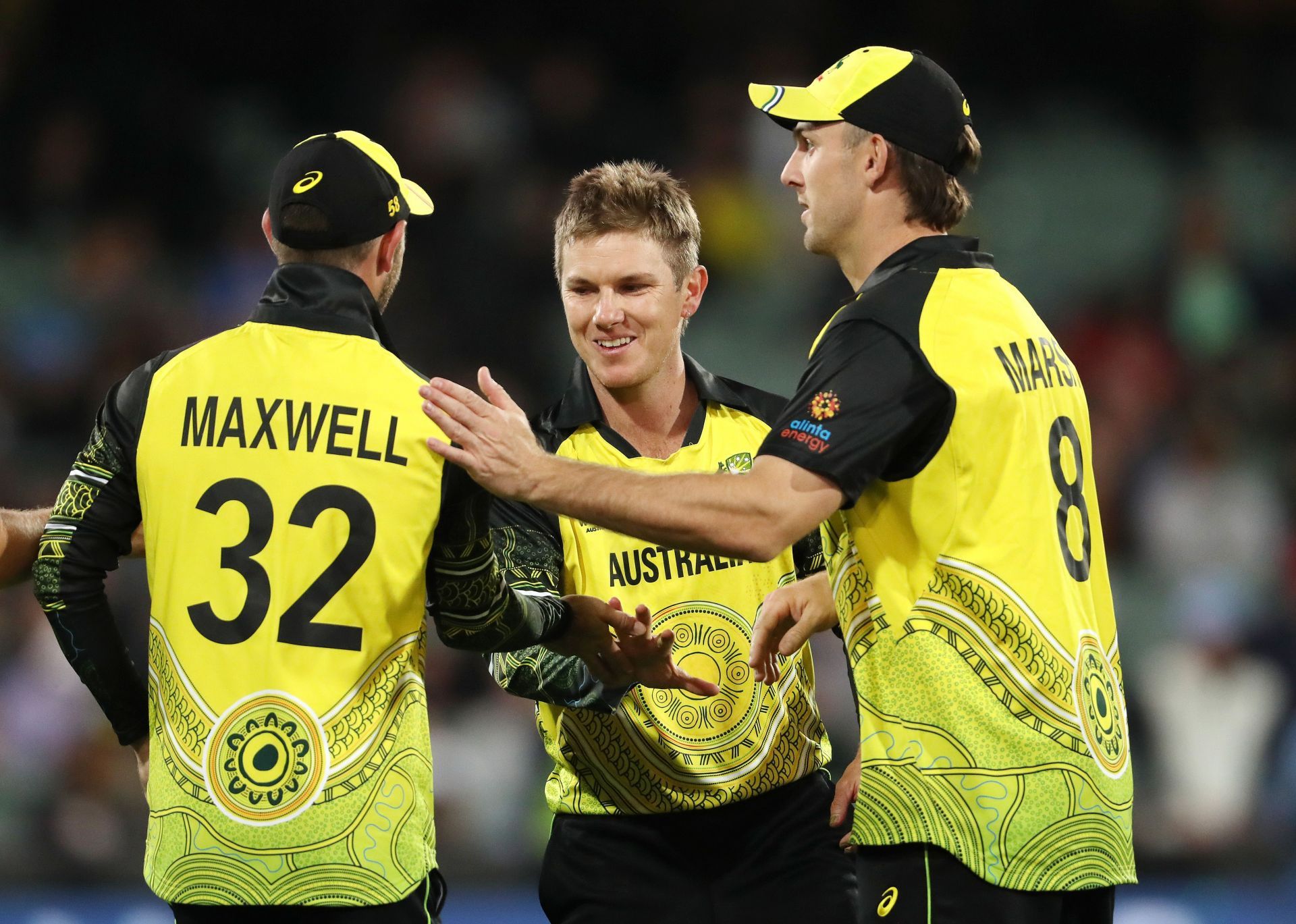 Adam Zampa took five wickets in the tournament at the economy rate of 6.66 per over