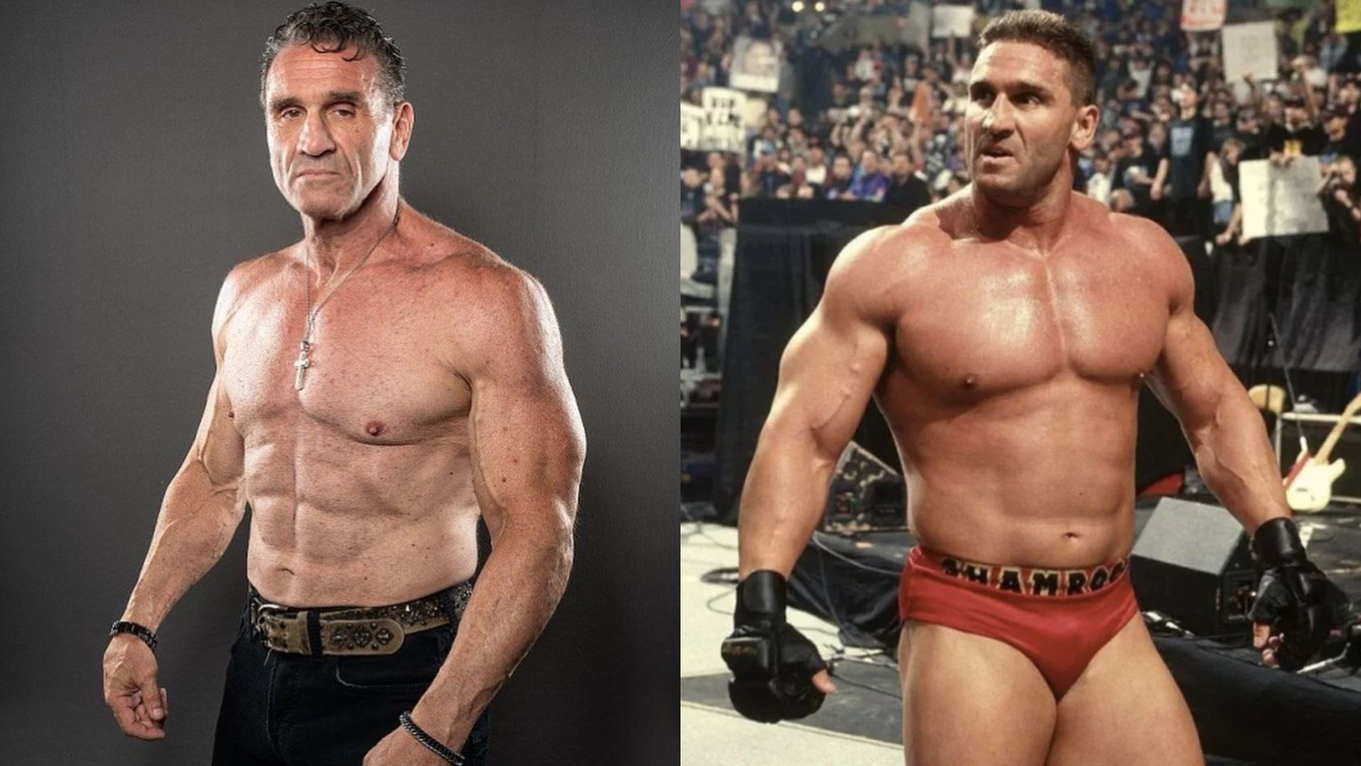 Ken Shamrock wrestled for nearly two years in WWE