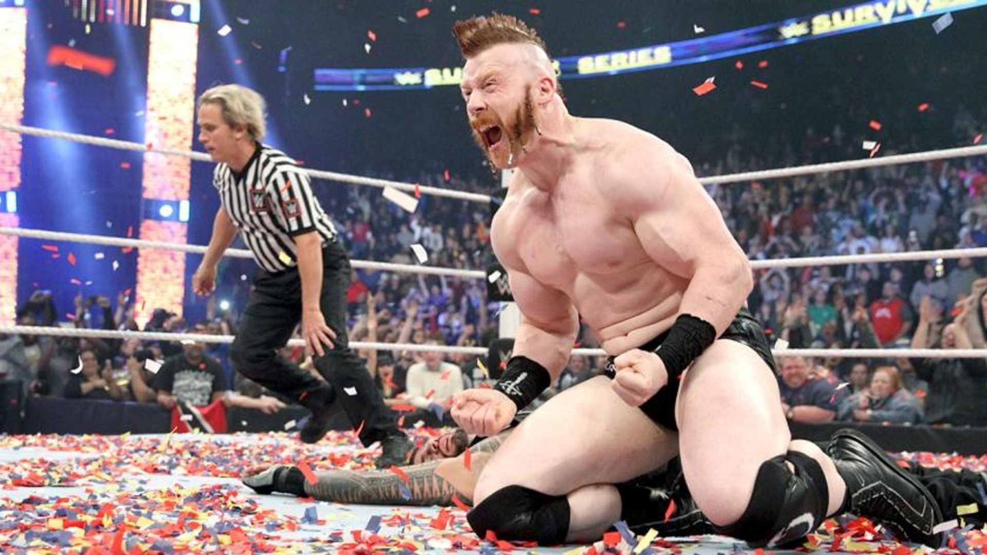 Sheamus and Roman Reigns have quite a history at WWE Survivor Series.