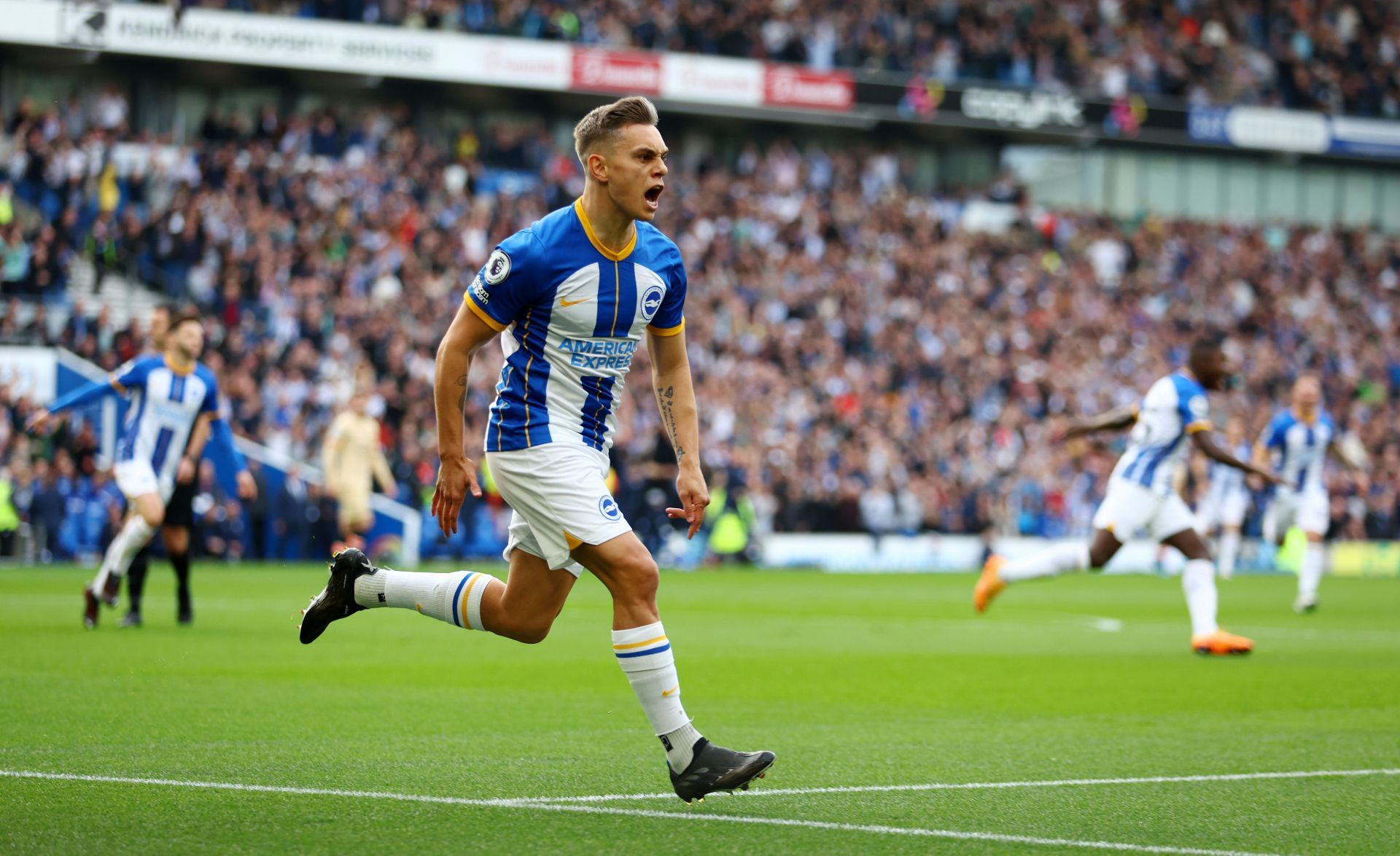 Leandro Trossard has admirers at Stamford Bridge.