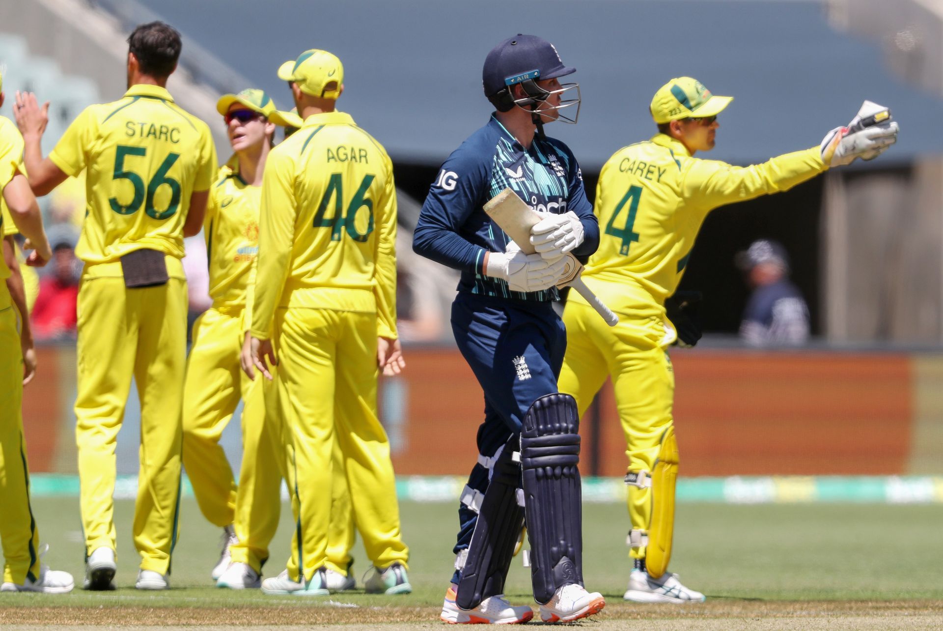 Jason Roy walks back after being dismissed. (Image Credits: Getty)