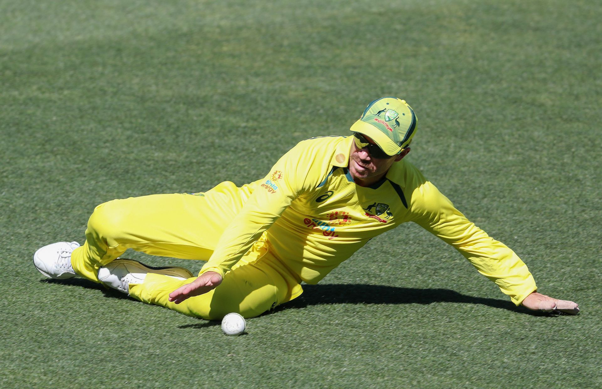 David Warner (Image Credits: Getty)