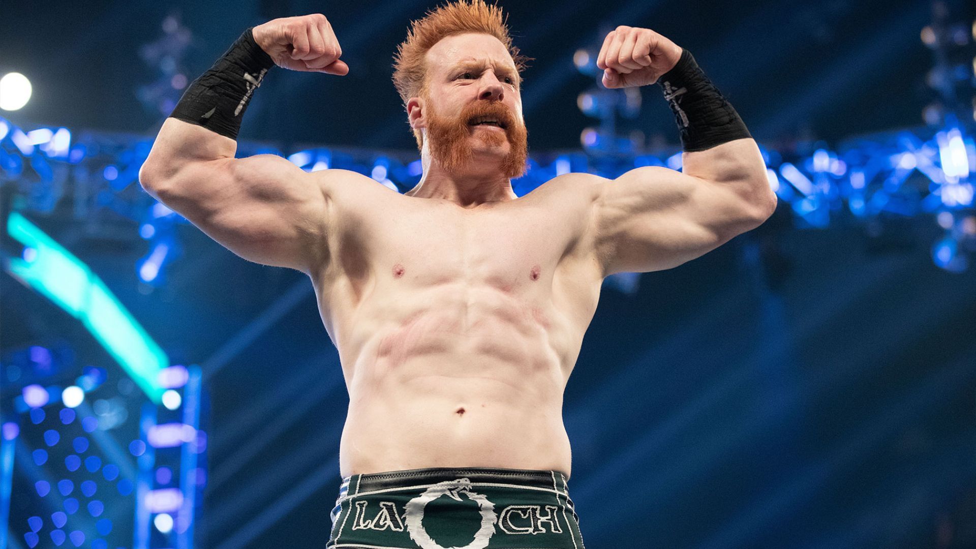 WWE SmackDown Superstar Sheamus