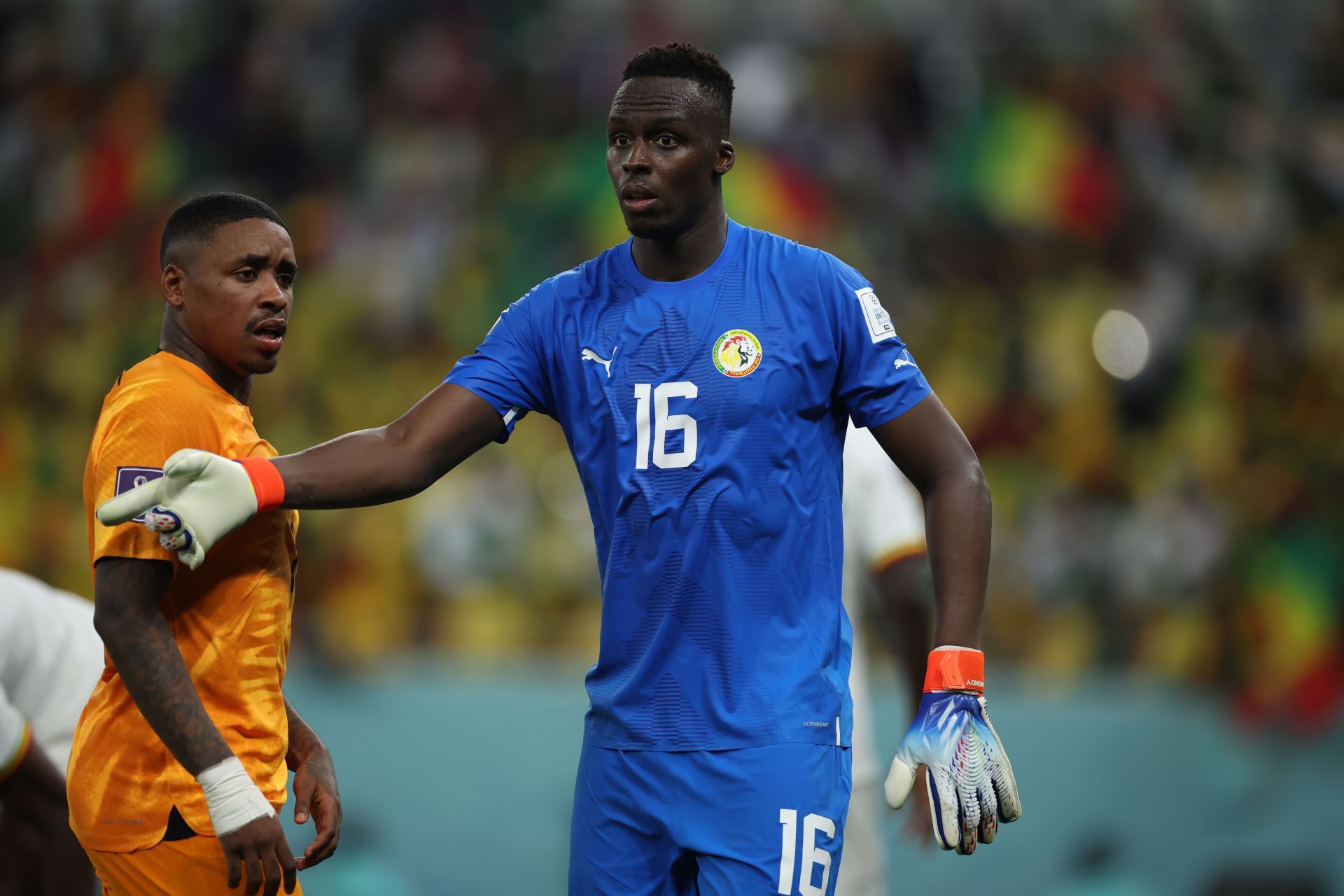 Mendy conceded two goals against the Netherlands