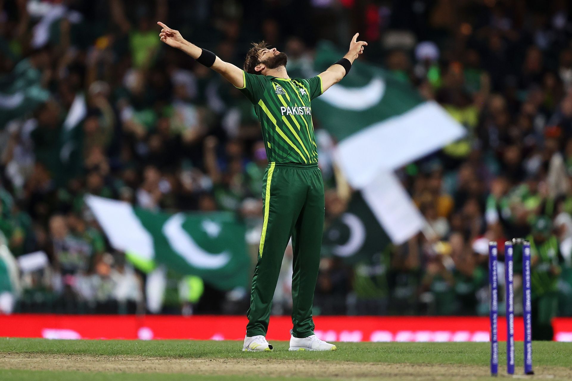 Shaheen Afridi celebrates after taking the wicket of Kane Williamson in the first semi-final. Pic: Getty Images