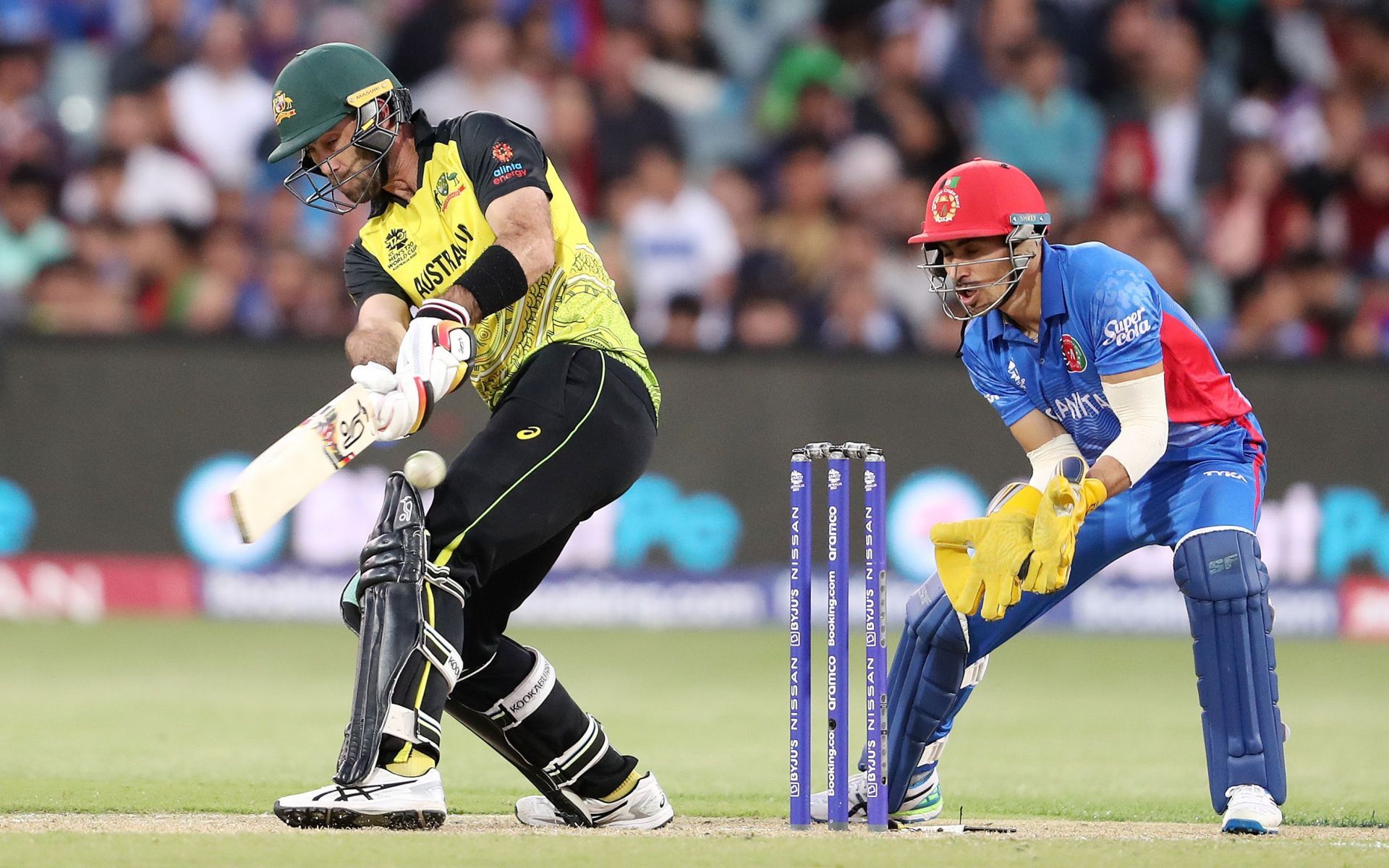 Australia v Afghanistan - ICC Men