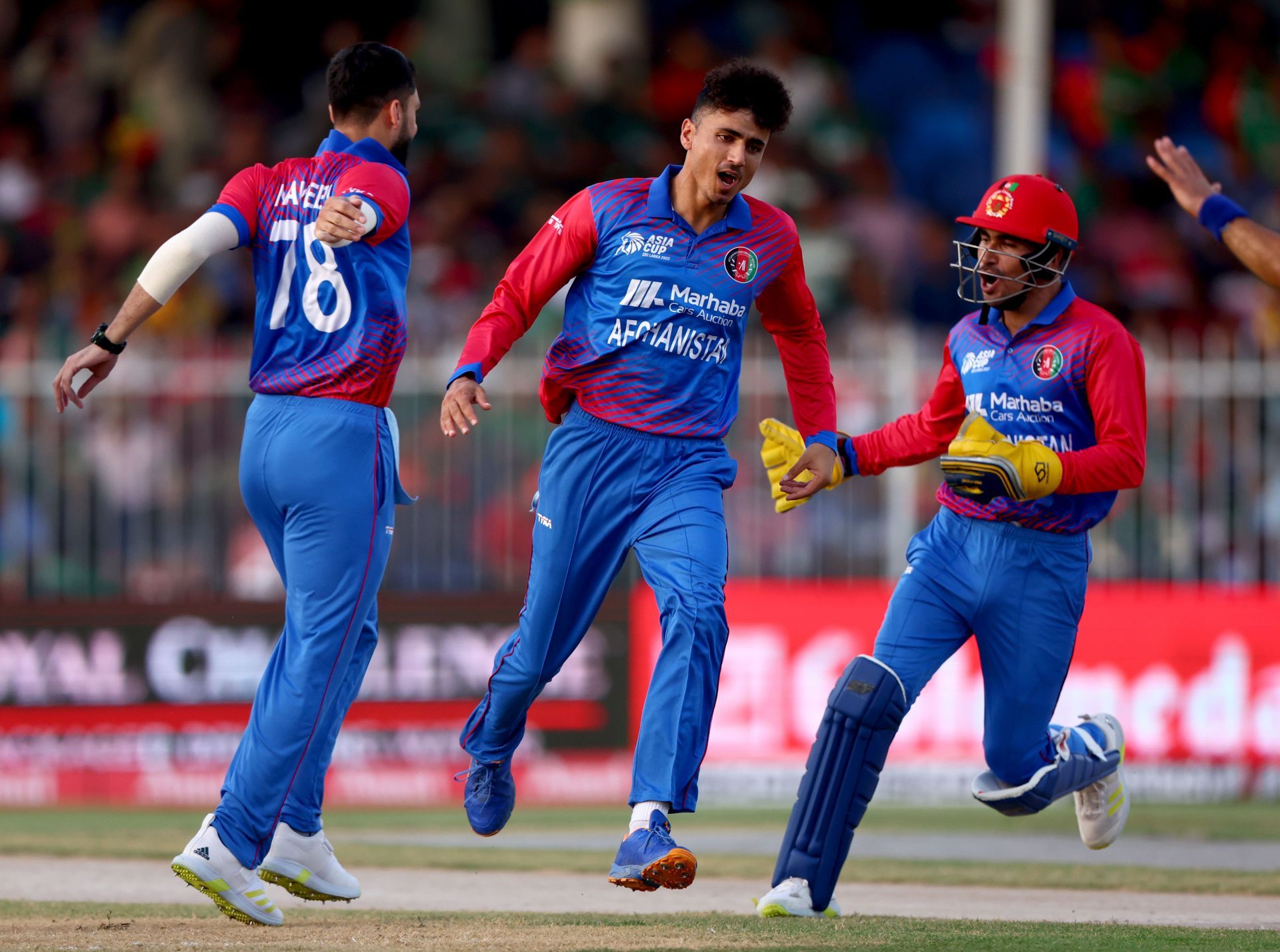 Bangladesh v Afghanistan - DP World Asia Cup (Image: Getty)