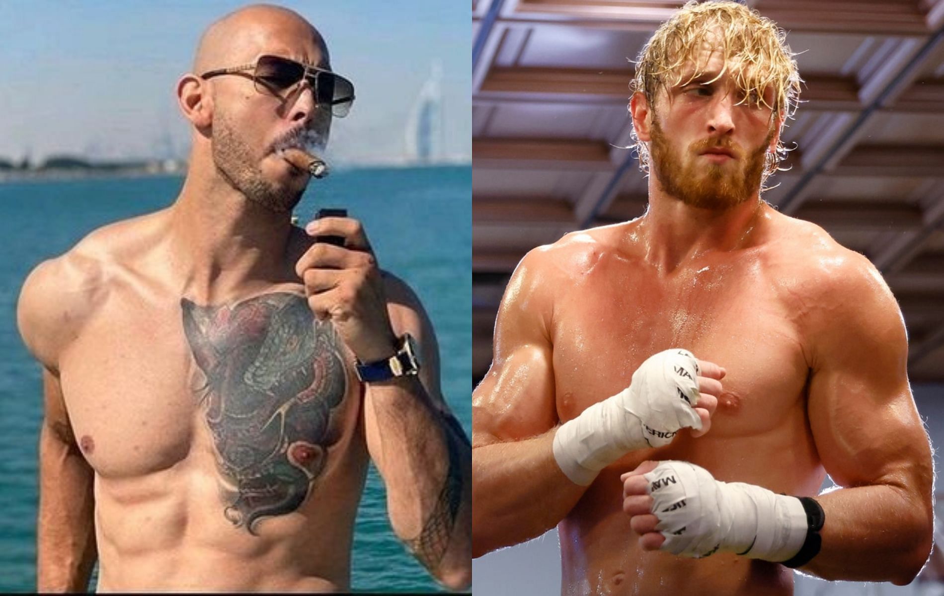 Andrew Tate net worth is more than Logan Paul net worth.