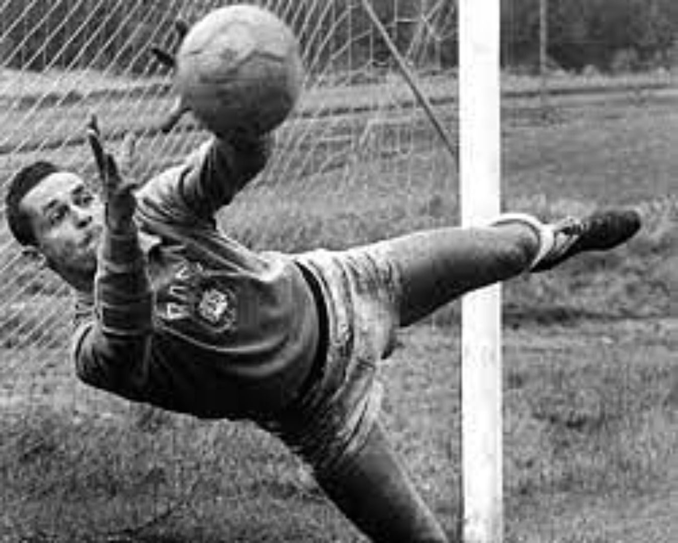 Gilmar is the greatest Brazilian goalkeeper ever.