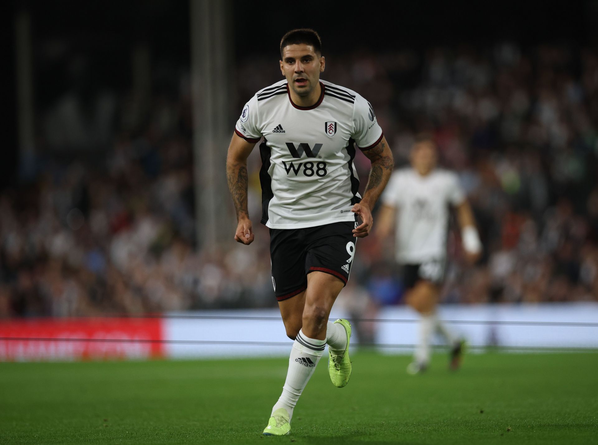 Mitrovic has scored nine league goals for Fulham this season