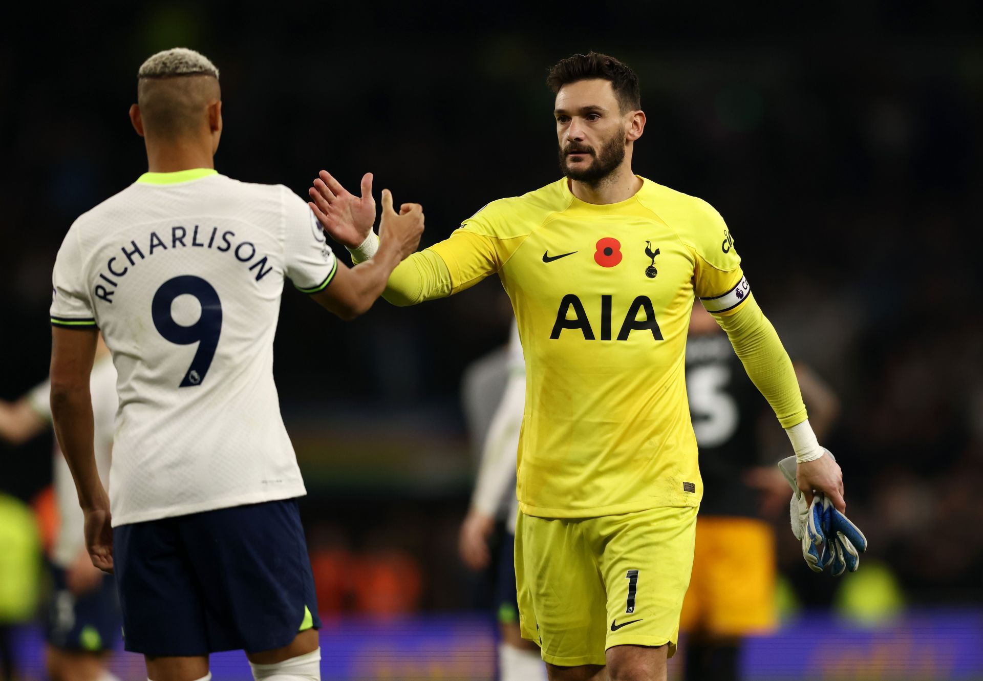 Richarlison and Hugo Lloris (right) impressed for their respective countries at the World Cup